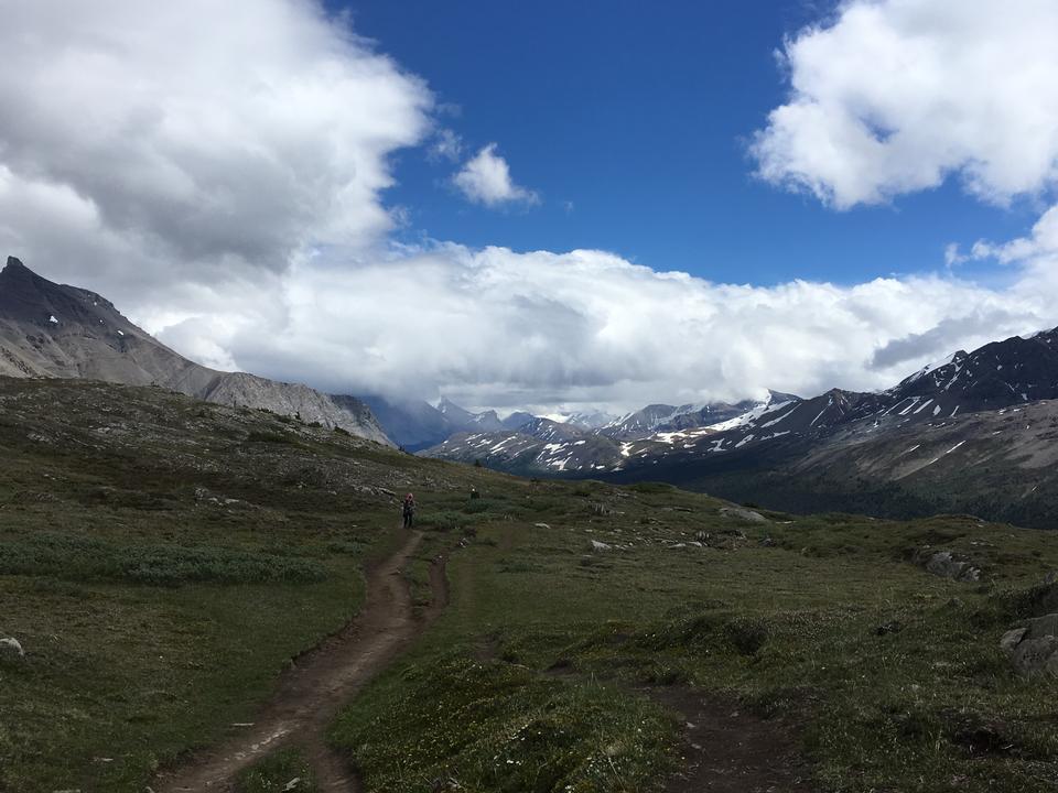 Free download high resolution image - free image free photo free stock image public domain picture  Snow Covered Mt Athabasca From the Wilcox Pass Trail