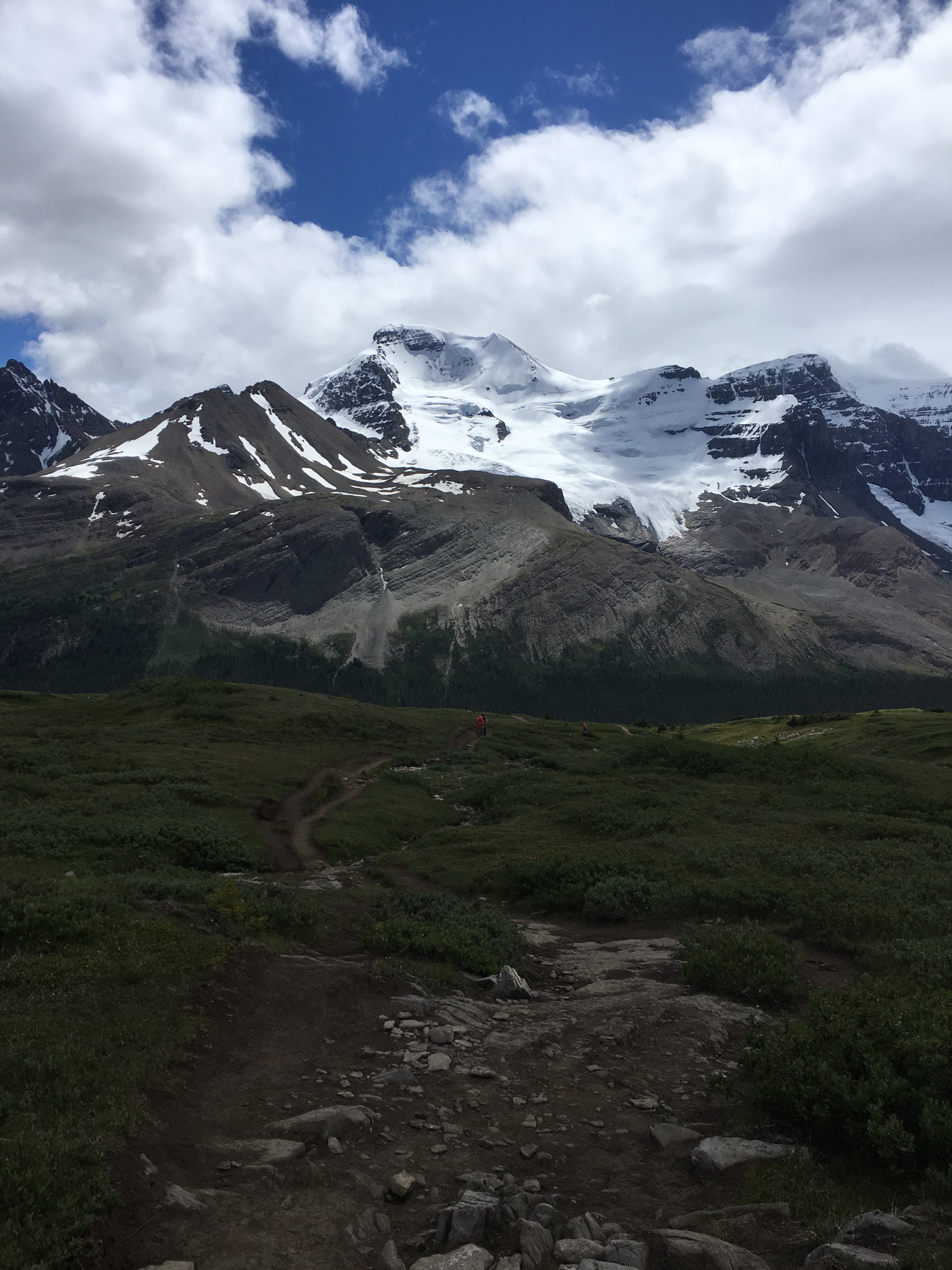 Free download high resolution image - free image free photo free stock image public domain picture -Snow Covered Mt Athabasca From the Wilcox Pass Trail