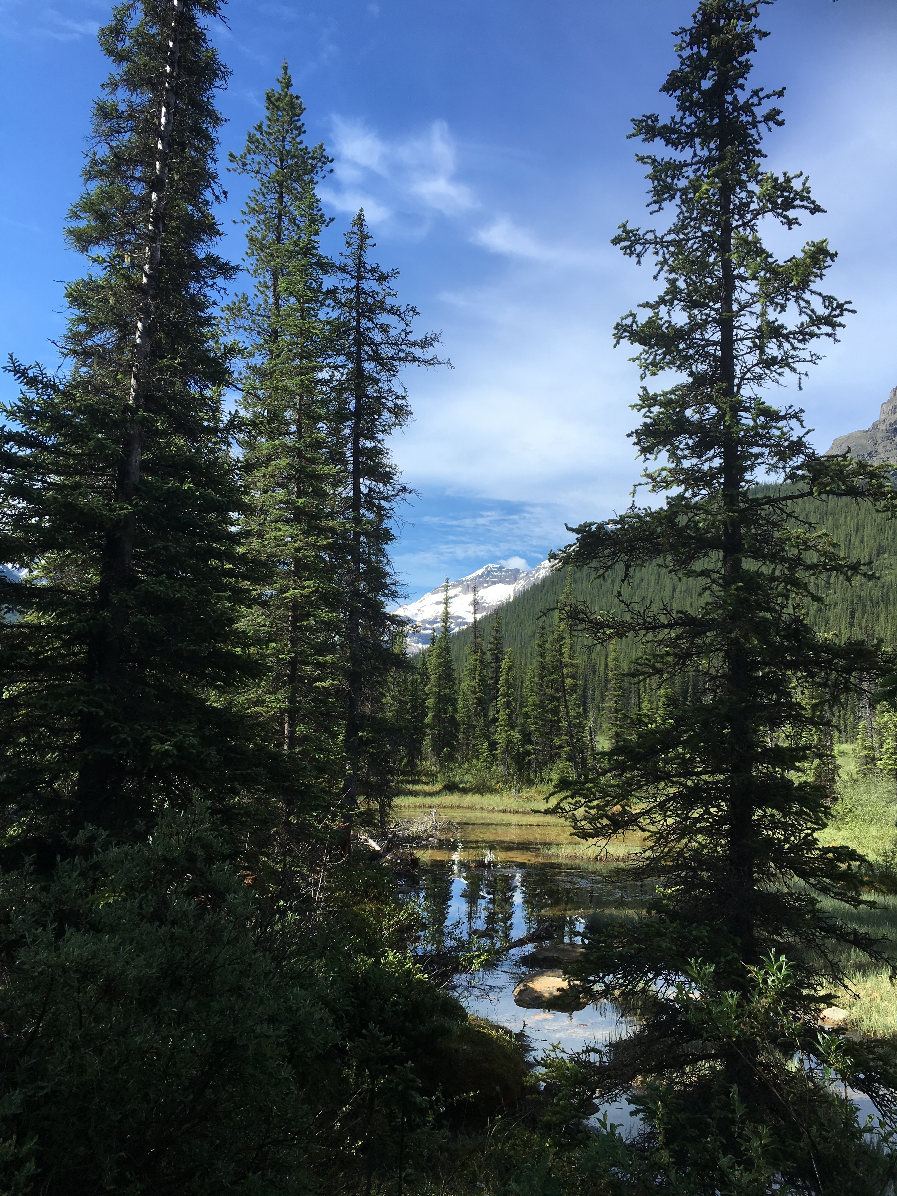 Free download high resolution image - free image free photo free stock image public domain picture -hiking trail in Opabin Plateau above Lake Ohara