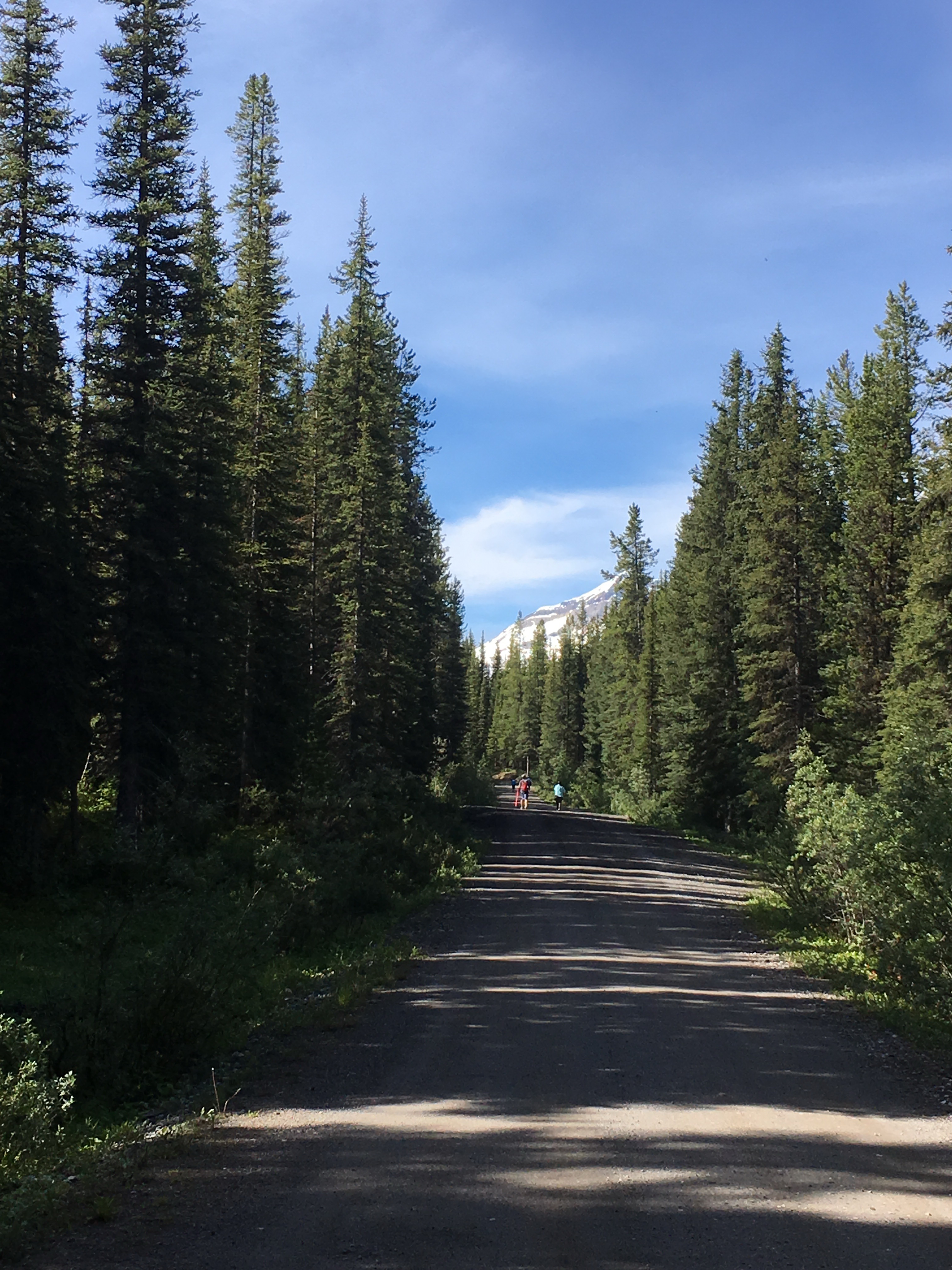 Free download high resolution image - free image free photo free stock image public domain picture -hiking trail in Opabin Plateau above Lake Ohara