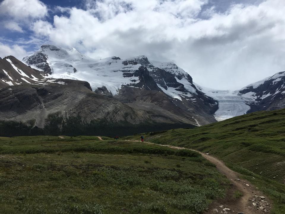 Free download high resolution image - free image free photo free stock image public domain picture  Snow Covered Mt Athabasca From the Wilcox Pass Trail