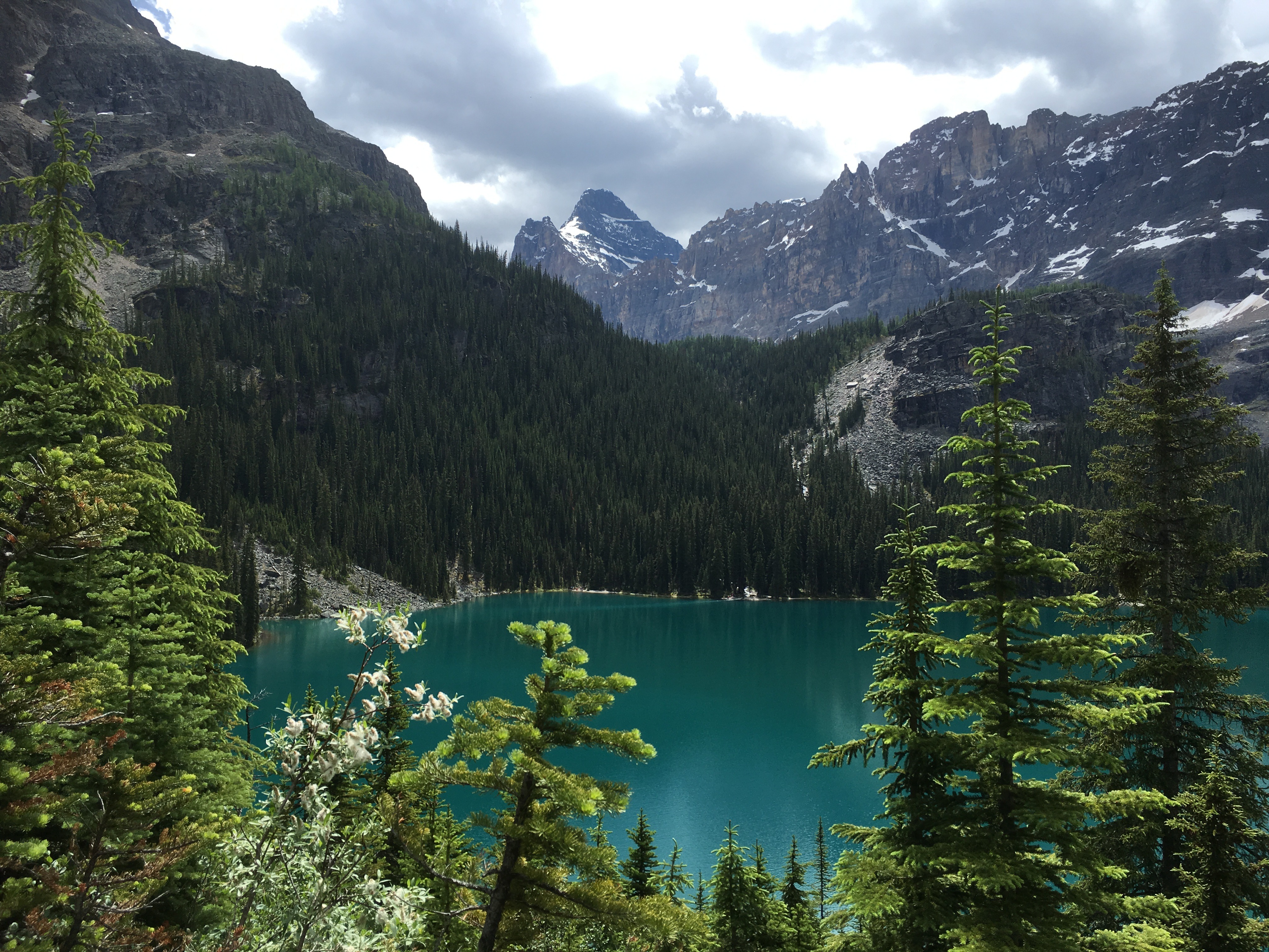 Free download high resolution image - free image free photo free stock image public domain picture -Lake O'Hara, Yoho National Park, Canadian Rockies