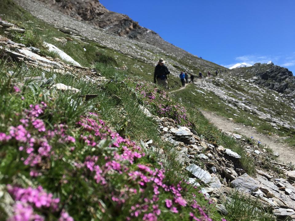 Free download high resolution image - free image free photo free stock image public domain picture  hikers team in the mountains. Matterhorn. Swiss Alps