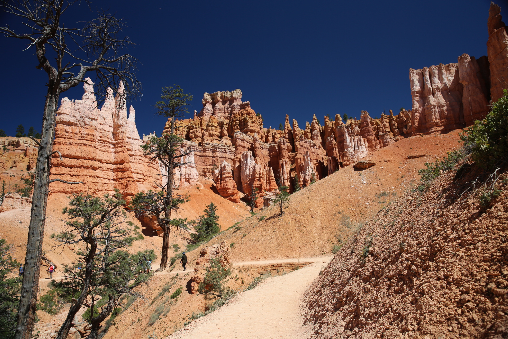 Free download high resolution image - free image free photo free stock image public domain picture -Hiking trails in Bryce Canyon National Park, Utah