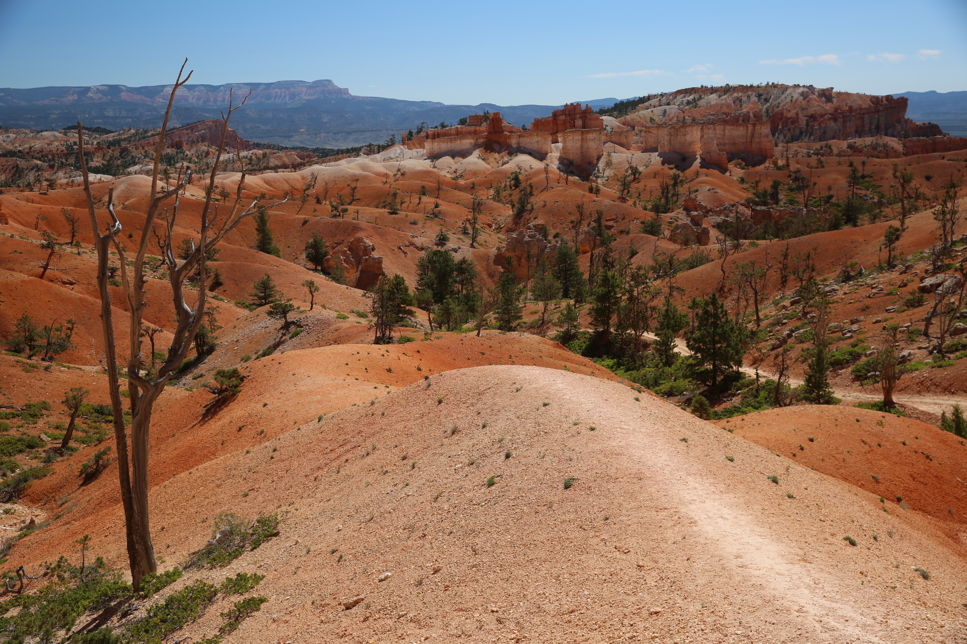 Free download high resolution image - free image free photo free stock image public domain picture -Hiking trails in Bryce Canyon National Park, Utah