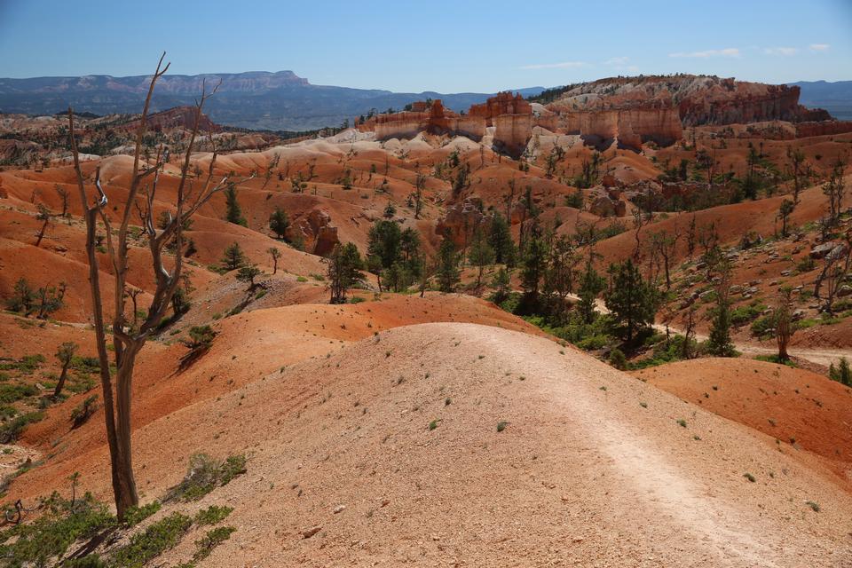 Free download high resolution image - free image free photo free stock image public domain picture  Hiking trails in Bryce Canyon National Park, Utah