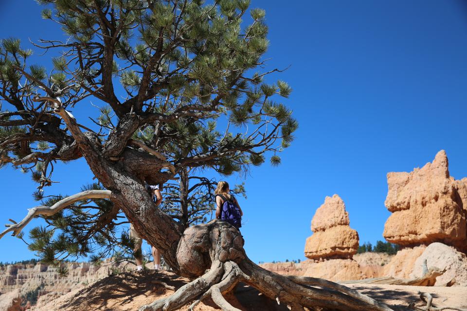 Free download high resolution image - free image free photo free stock image public domain picture  Hiking trails in Bryce Canyon National Park, Utah