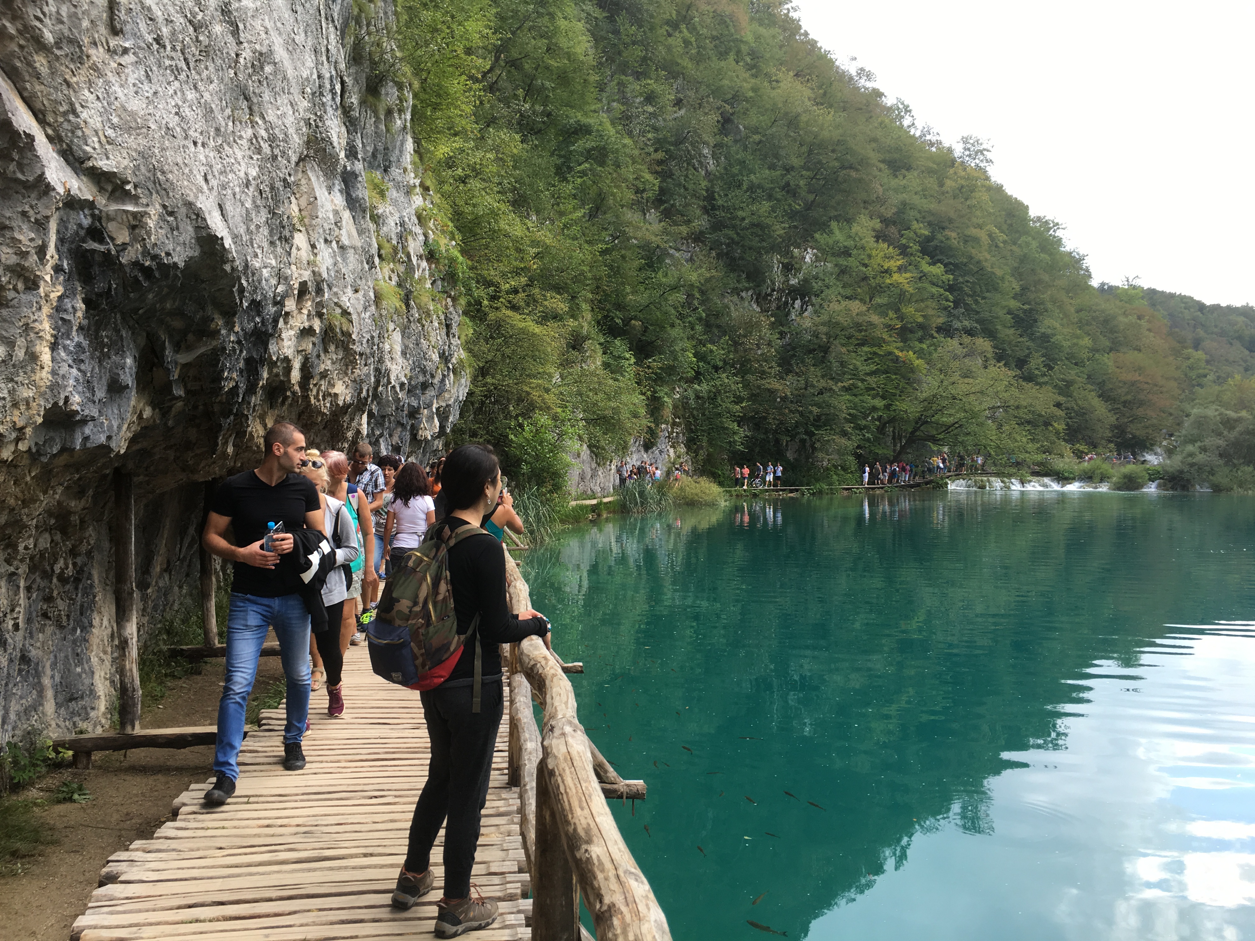 Free download high resolution image - free image free photo free stock image public domain picture -Boardwalk in the park Plitvice lakes, Croatia