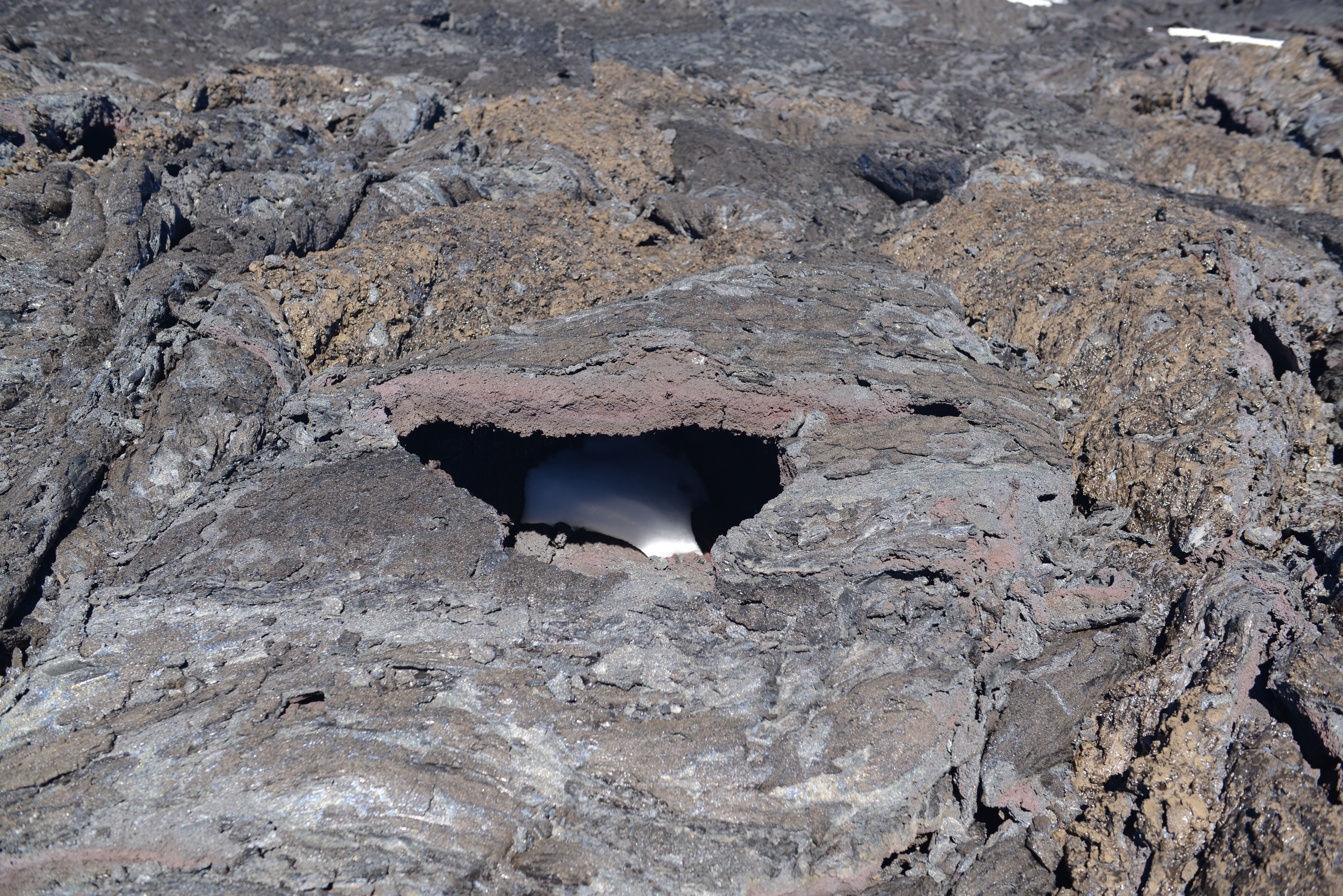 Free download high resolution image - free image free photo free stock image public domain picture -Slope of Mauna Kea; ranger station visible among the craters