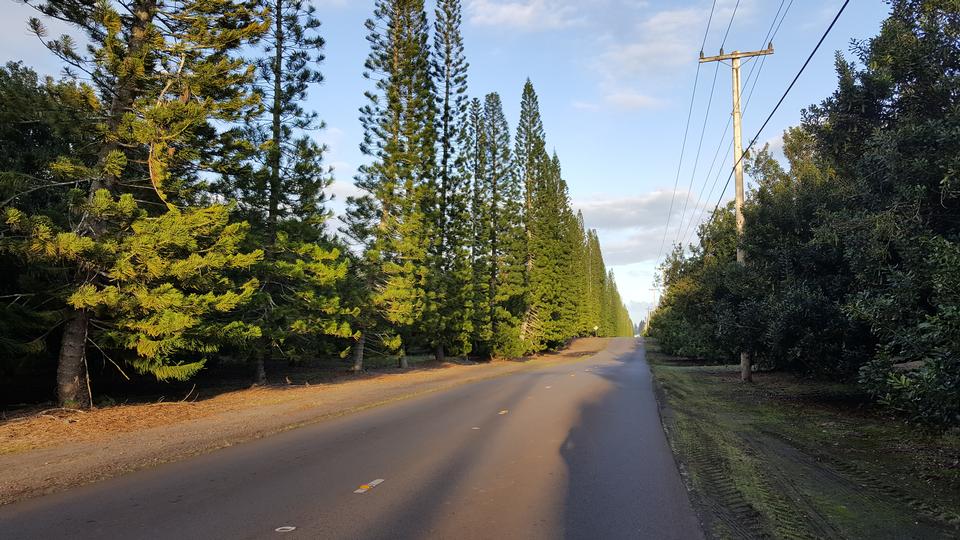 Free download high resolution image - free image free photo free stock image public domain picture  Road to Mauna Loa Summit