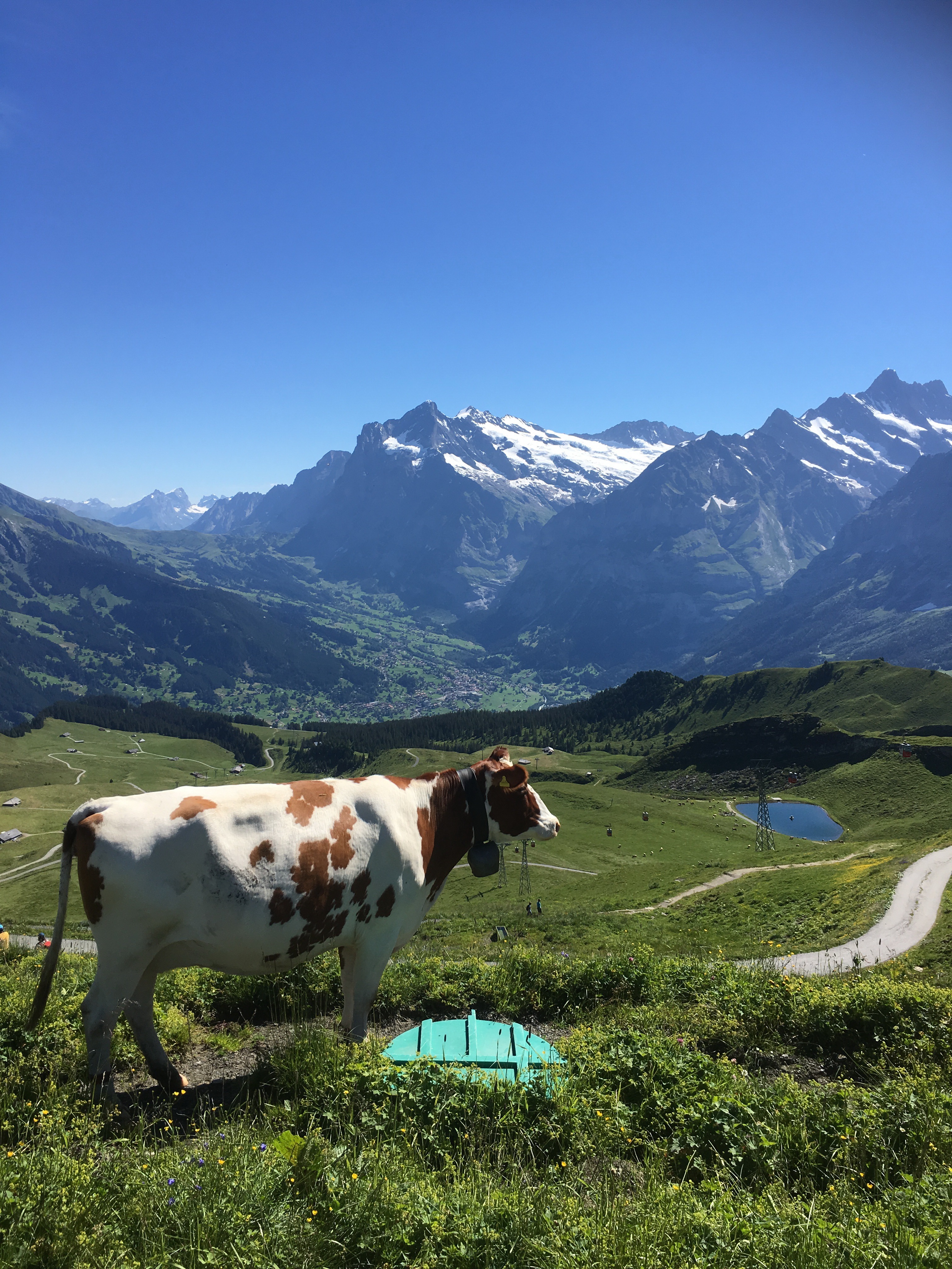 Free download high resolution image - free image free photo free stock image public domain picture -Famous Eiger, Monch and Jungfrau mountains