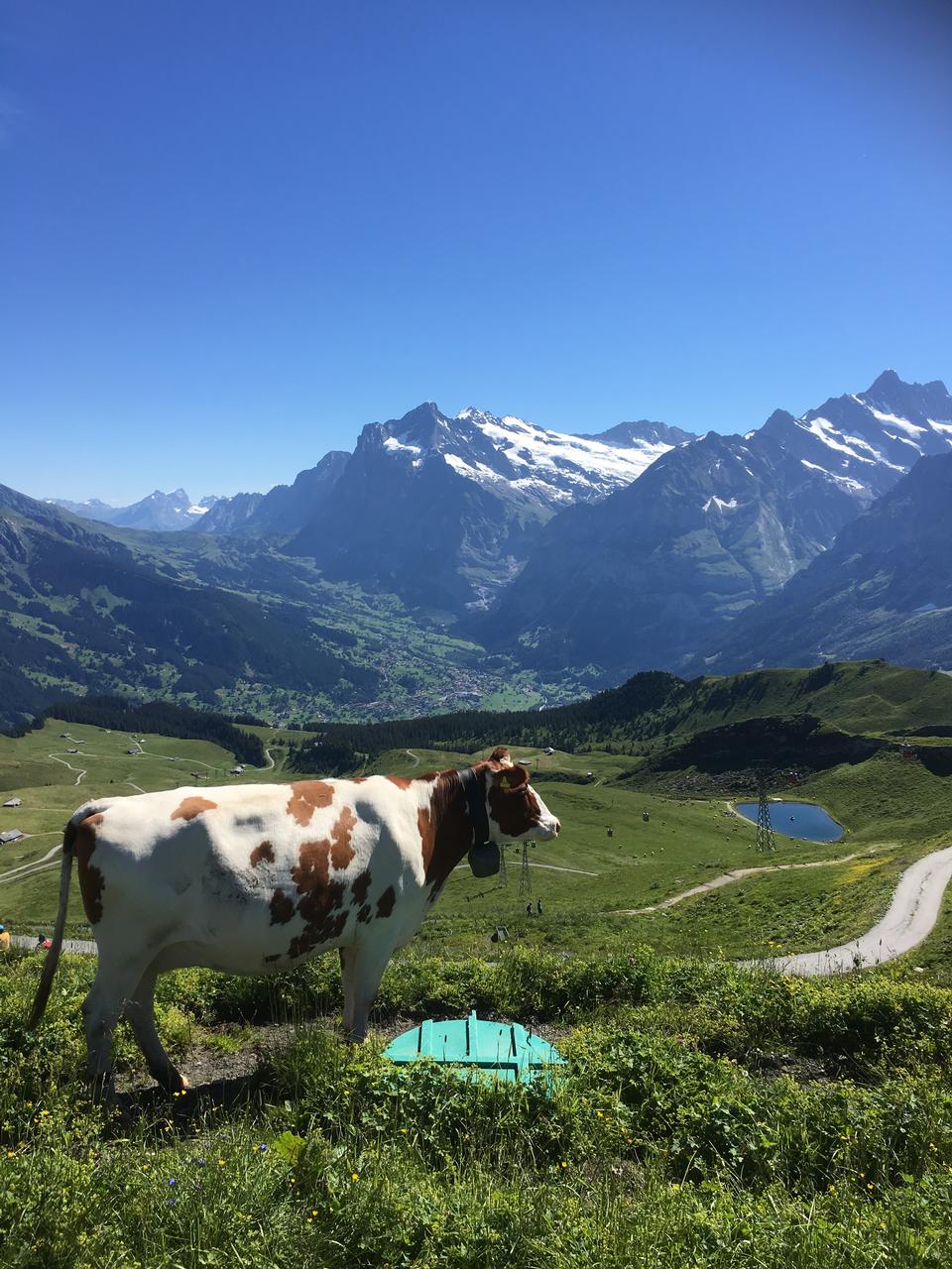 Free download high resolution image - free image free photo free stock image public domain picture  Famous Eiger, Monch and Jungfrau mountains