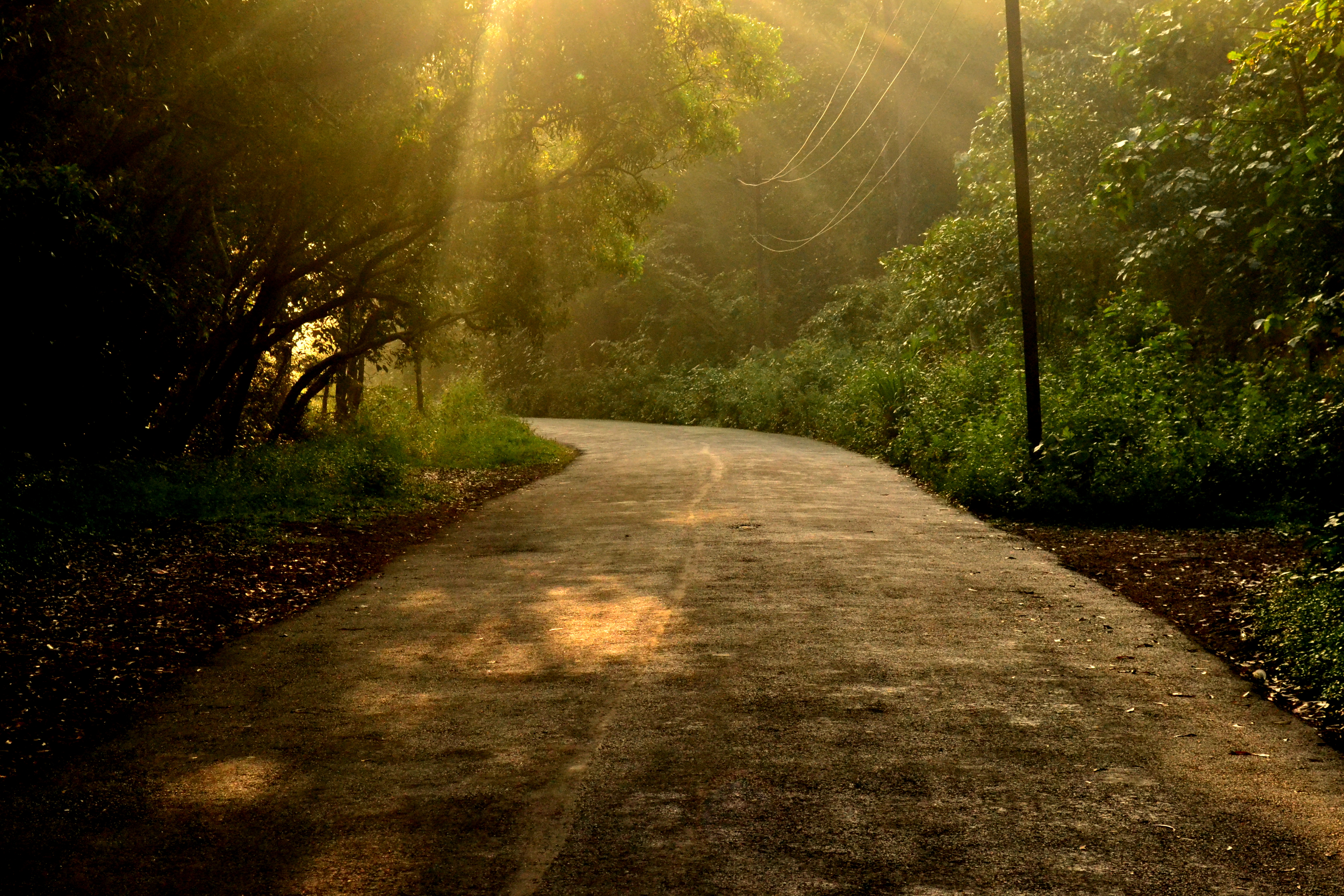 Free download high resolution image - free image free photo free stock image public domain picture -Road