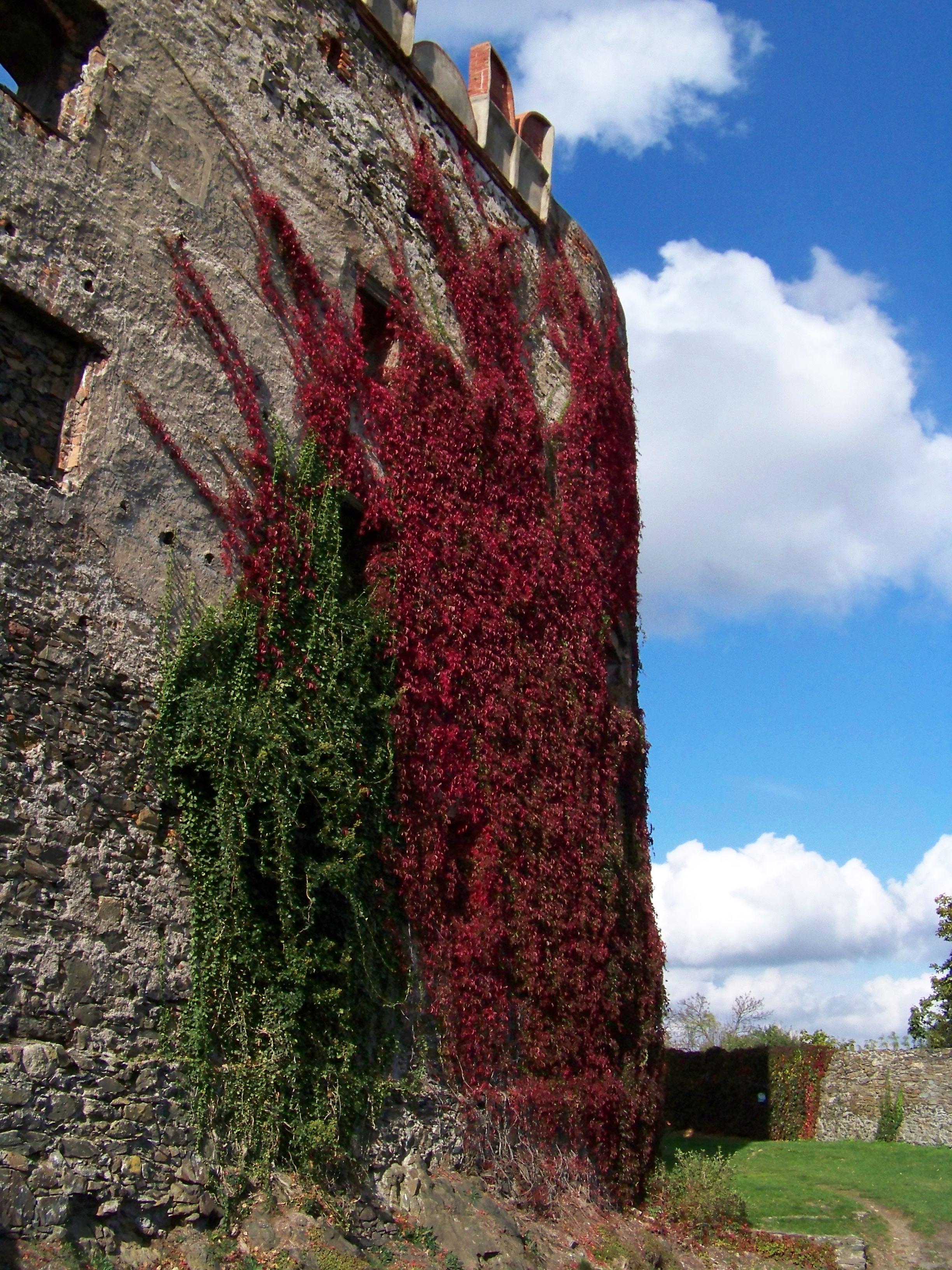 Free download high resolution image - free image free photo free stock image public domain picture -Castle Bolkow 4