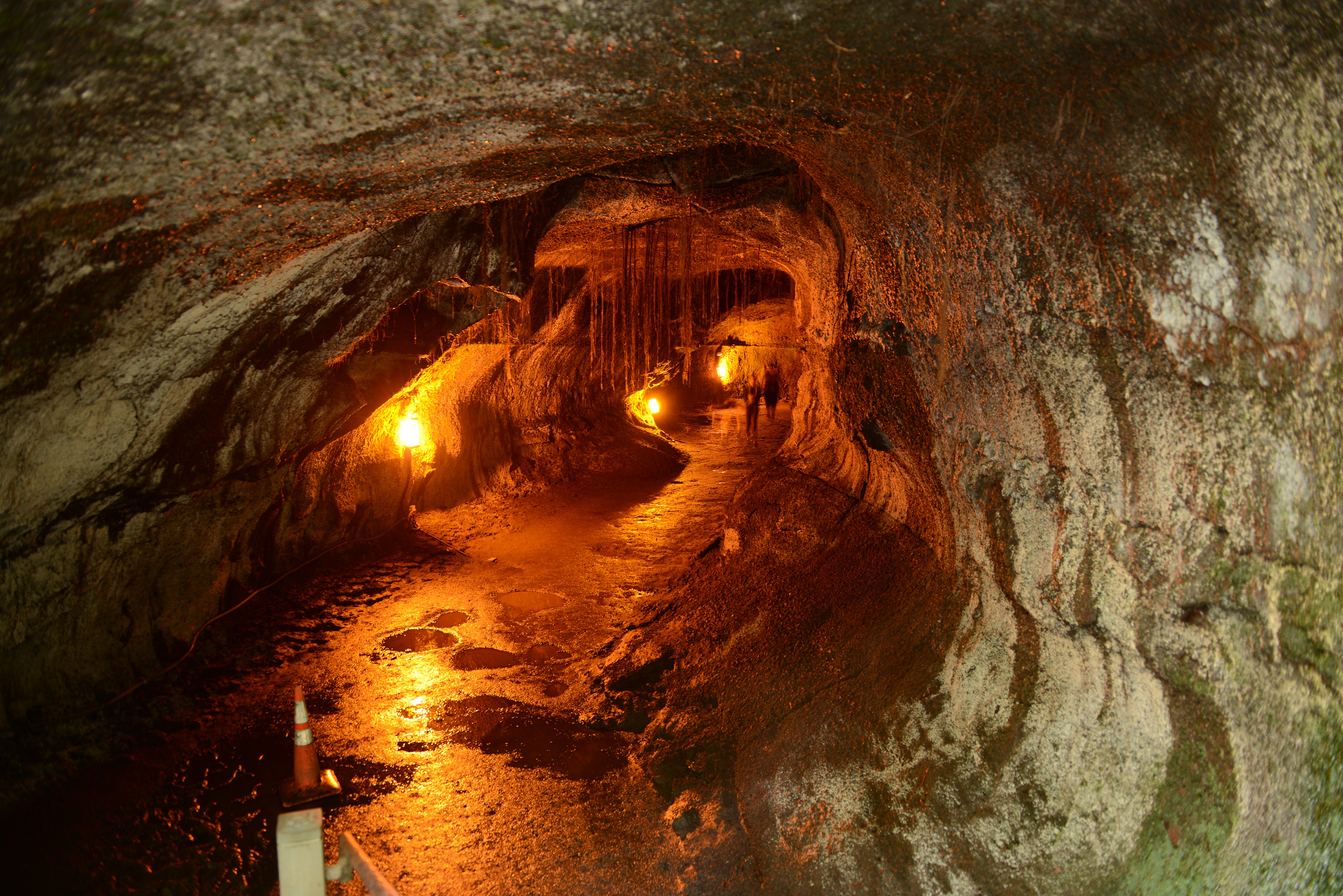 Free download high resolution image - free image free photo free stock image public domain picture -Lava Tube in Hawaii Volcano National Park