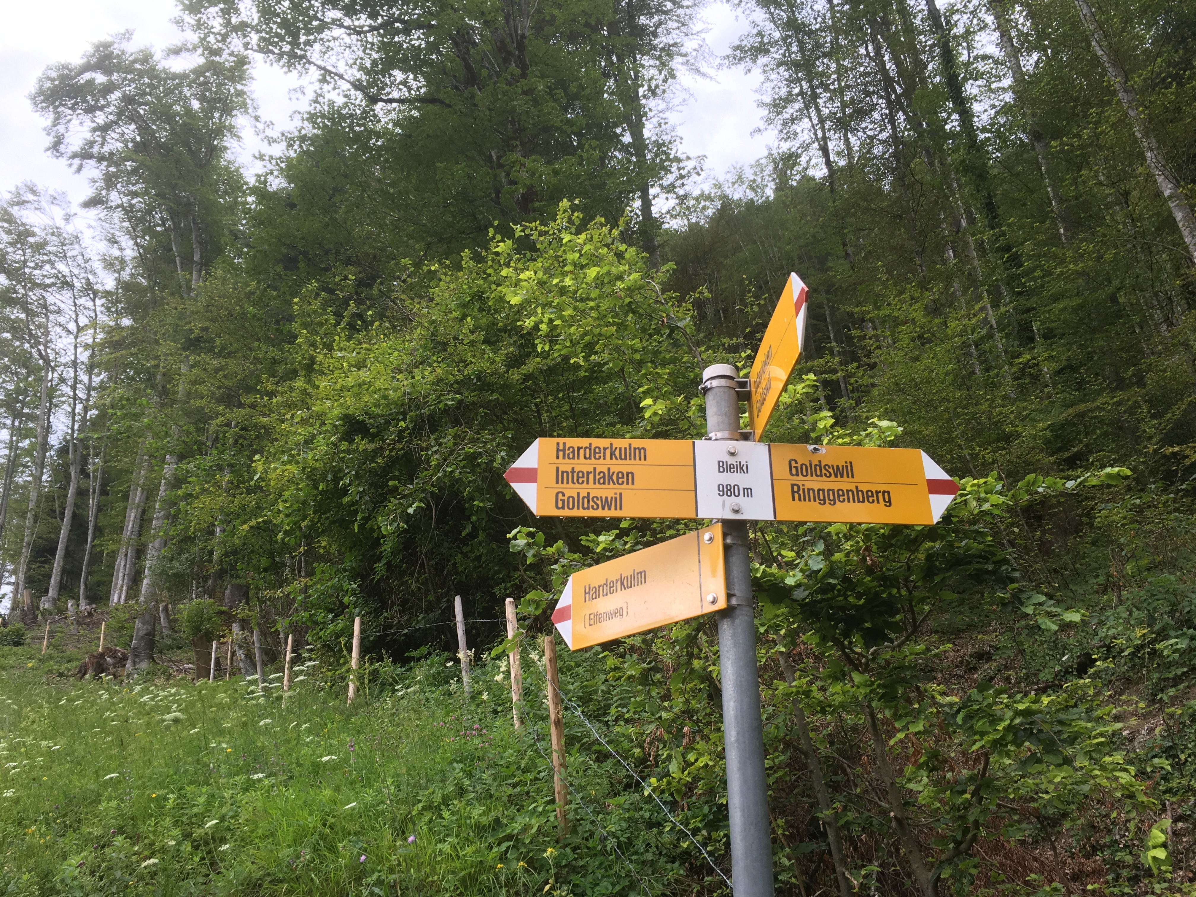 Free download high resolution image - free image free photo free stock image public domain picture -Harder kulm trail Sign