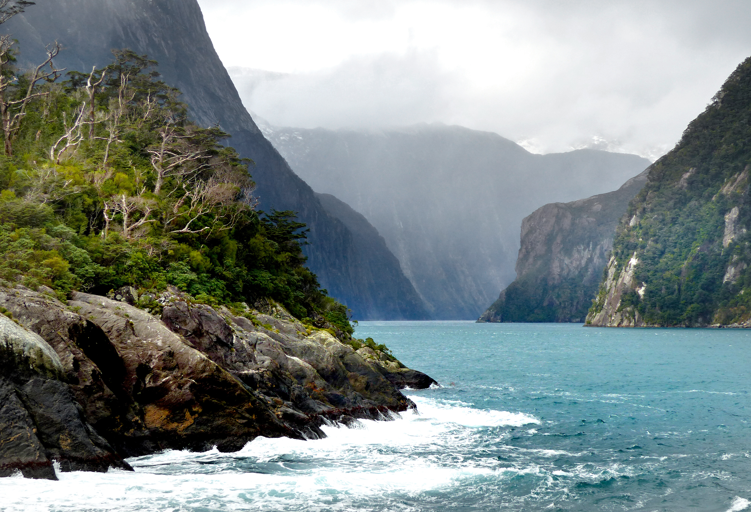 Free download high resolution image - free image free photo free stock image public domain picture -Milford Sound New Zealand