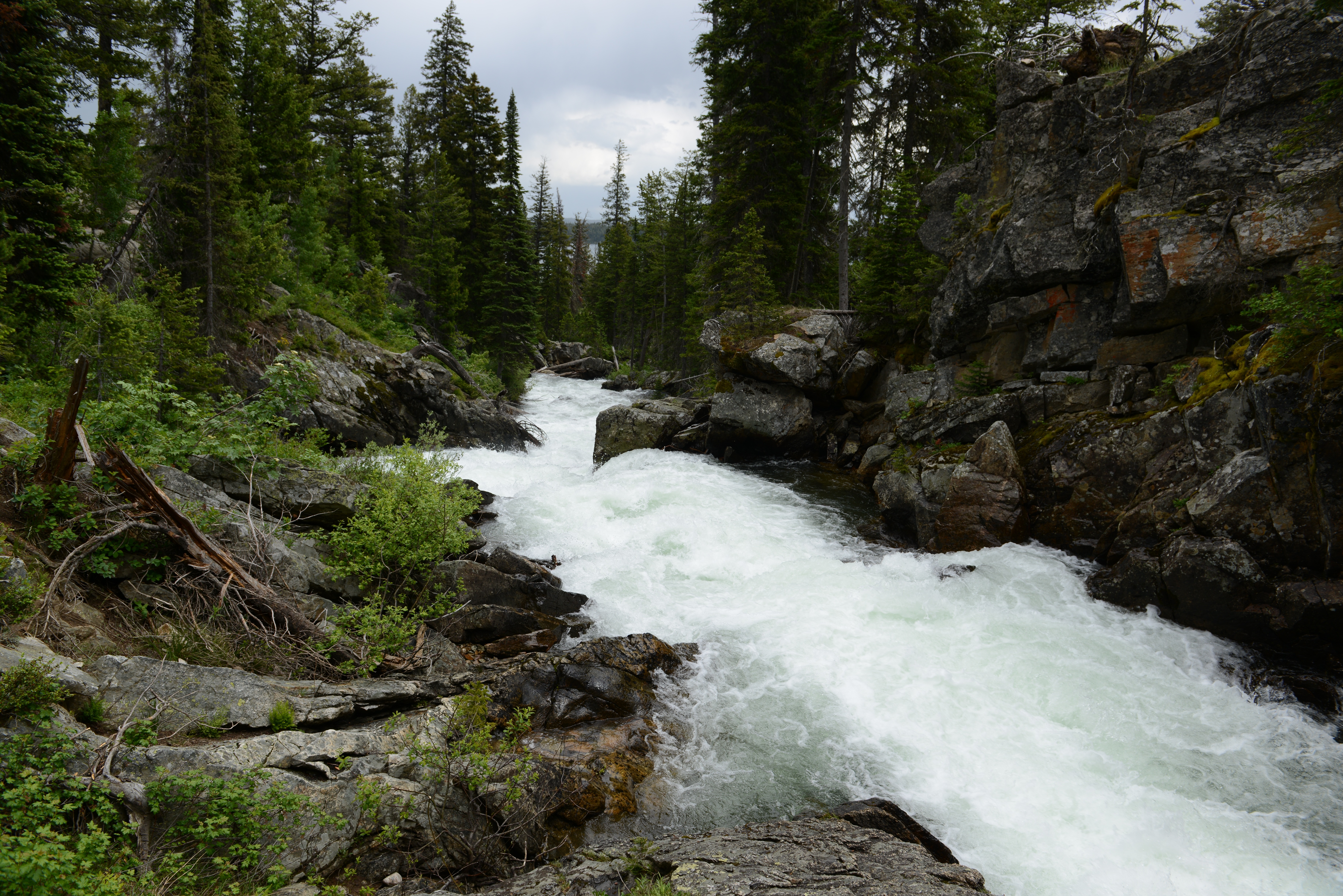 Free download high resolution image - free image free photo free stock image public domain picture -Waterfall on Cascade Creek in Grand Teton National Park