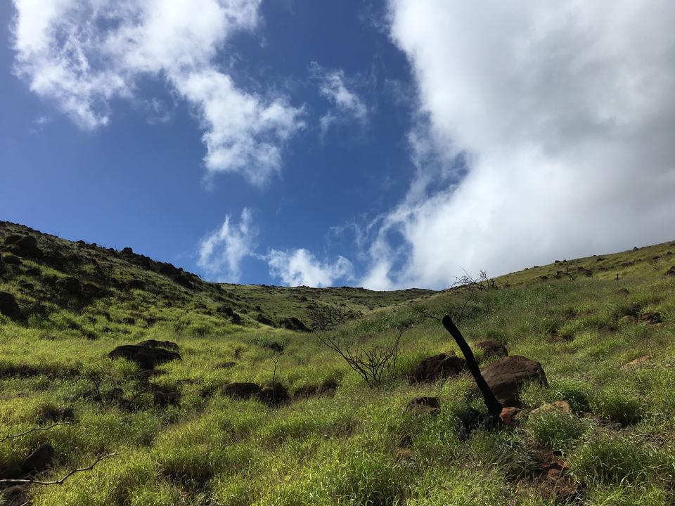 Free download high resolution image - free image free photo free stock image public domain picture  Lahaina Pali Trail Maui, Hawaii