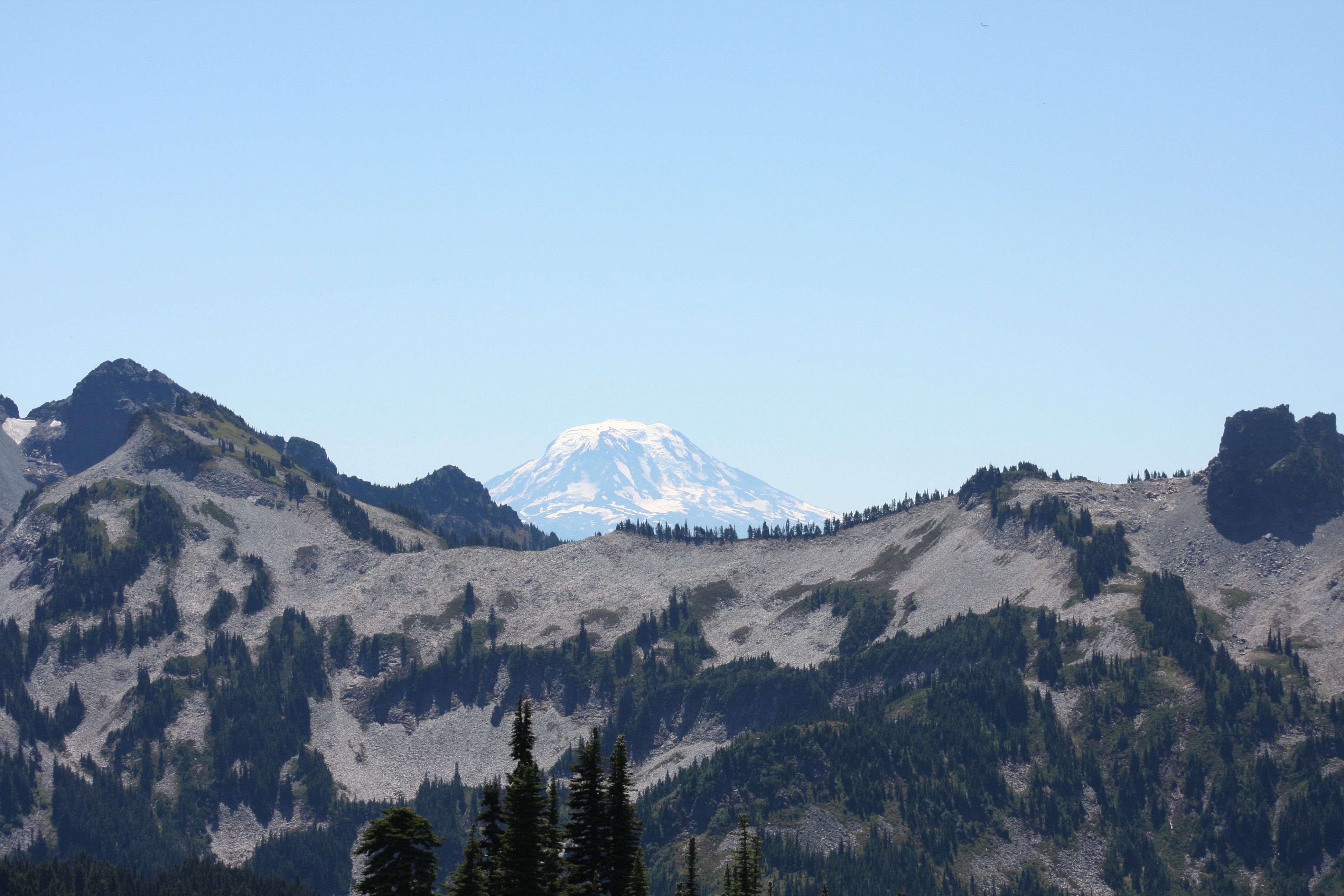 Free download high resolution image - free image free photo free stock image public domain picture -Paradise trail in Mount Rainier National Park, Washington