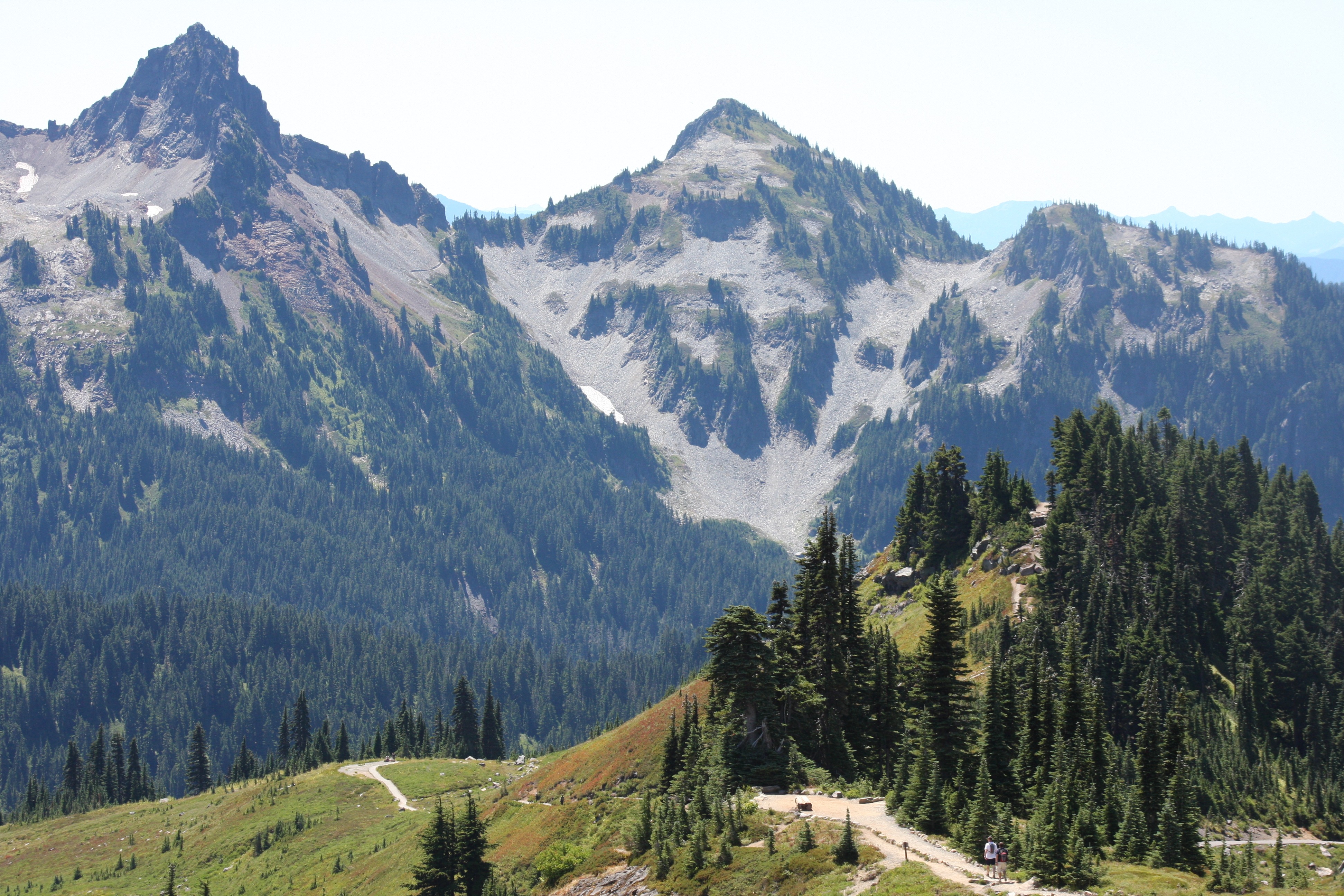 Free download high resolution image - free image free photo free stock image public domain picture -Paradise trail in Mount Rainier National Park, Washington