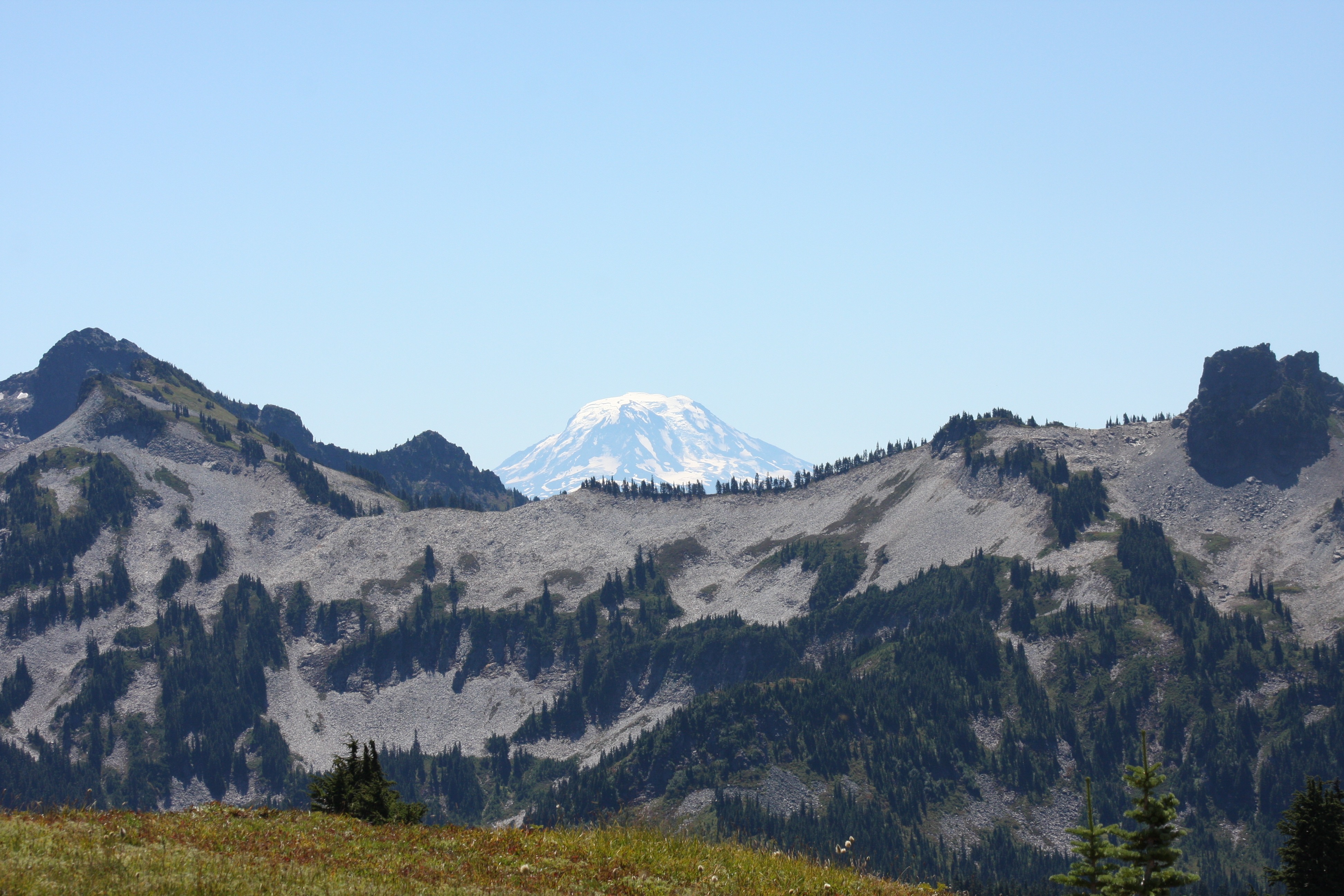 Free download high resolution image - free image free photo free stock image public domain picture -Paradise trail in Mount Rainier National Park, Washington