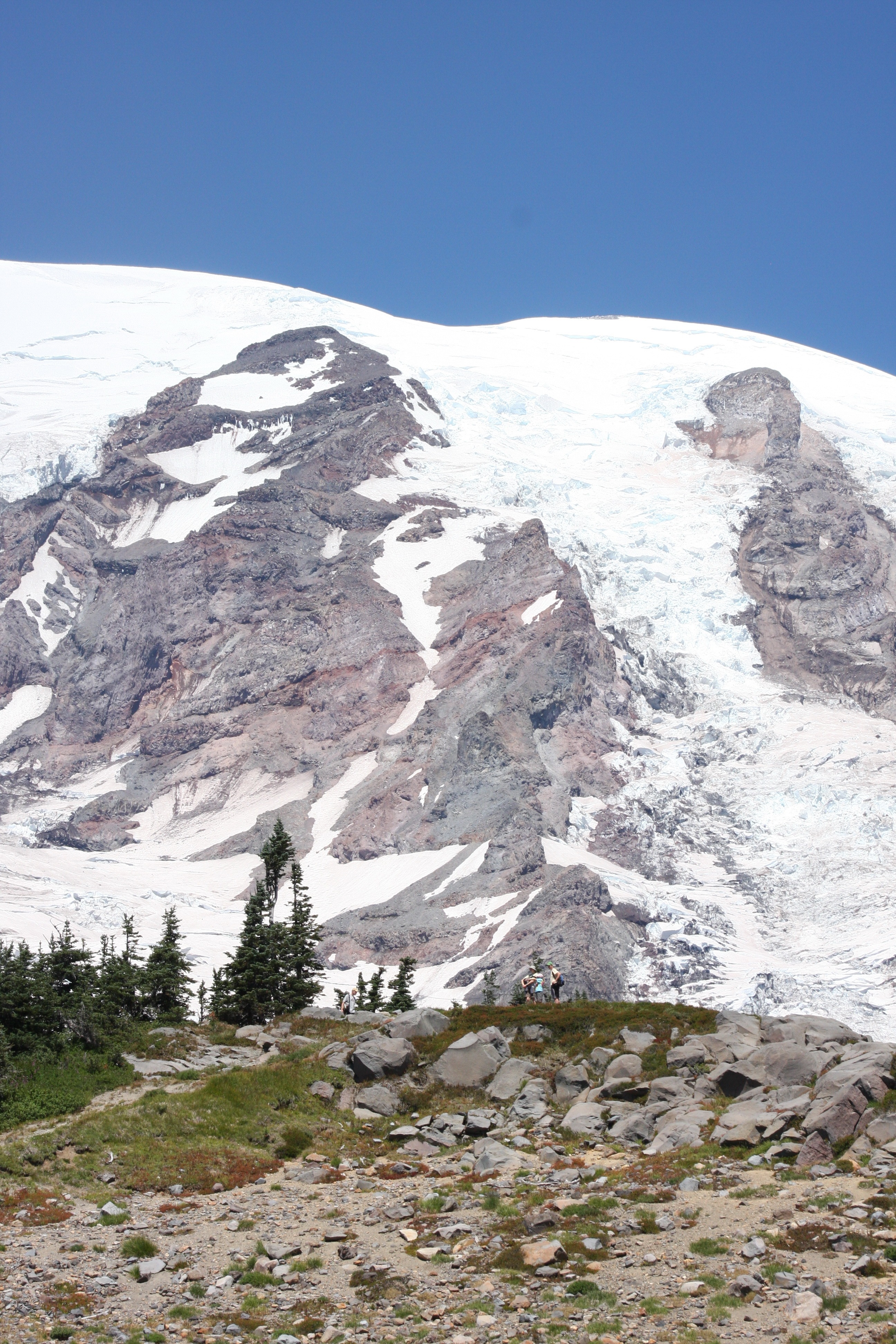 Free download high resolution image - free image free photo free stock image public domain picture -Paradise trail in Mount Rainier National Park, Washington