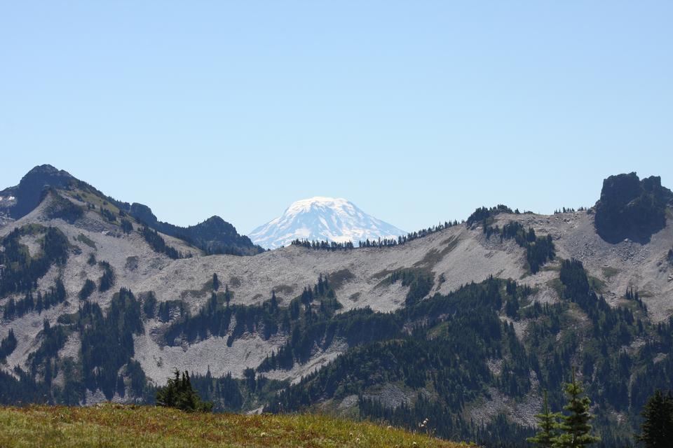 Free download high resolution image - free image free photo free stock image public domain picture  Paradise trail in Mount Rainier National Park, Washington