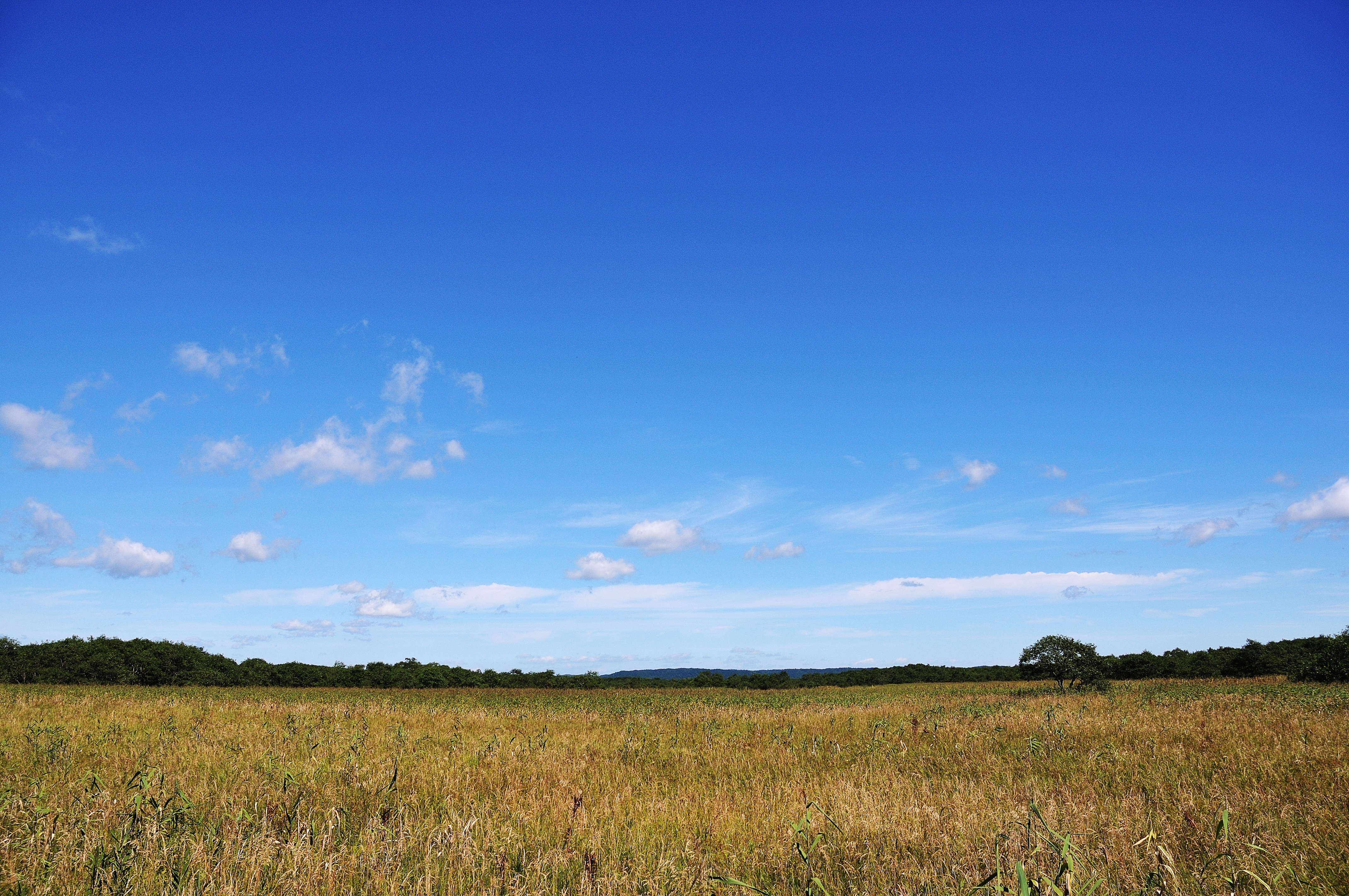 Free download high resolution image - free image free photo free stock image public domain picture -Hokkaido