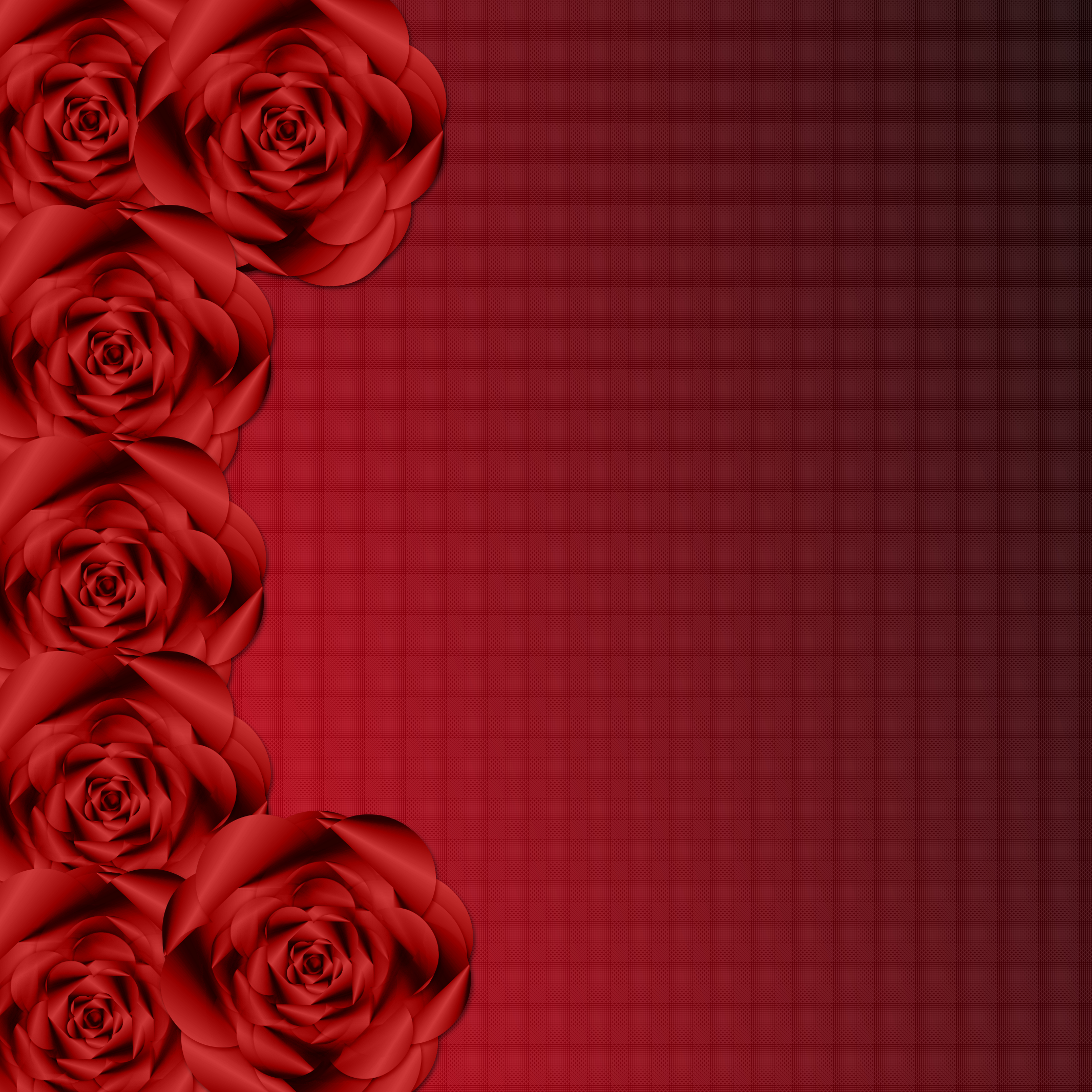 Free download high resolution image - free image free photo free stock image public domain picture -roses