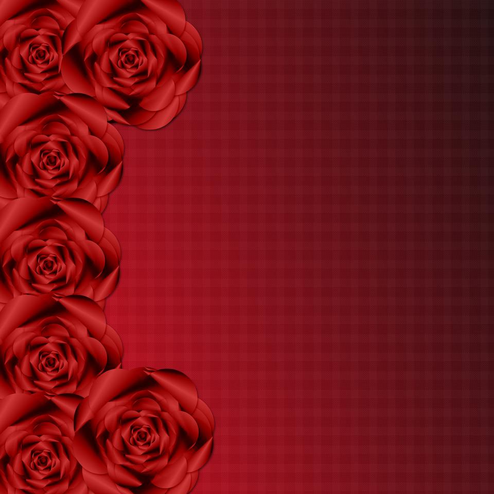 Free download high resolution image - free image free photo free stock image public domain picture  roses