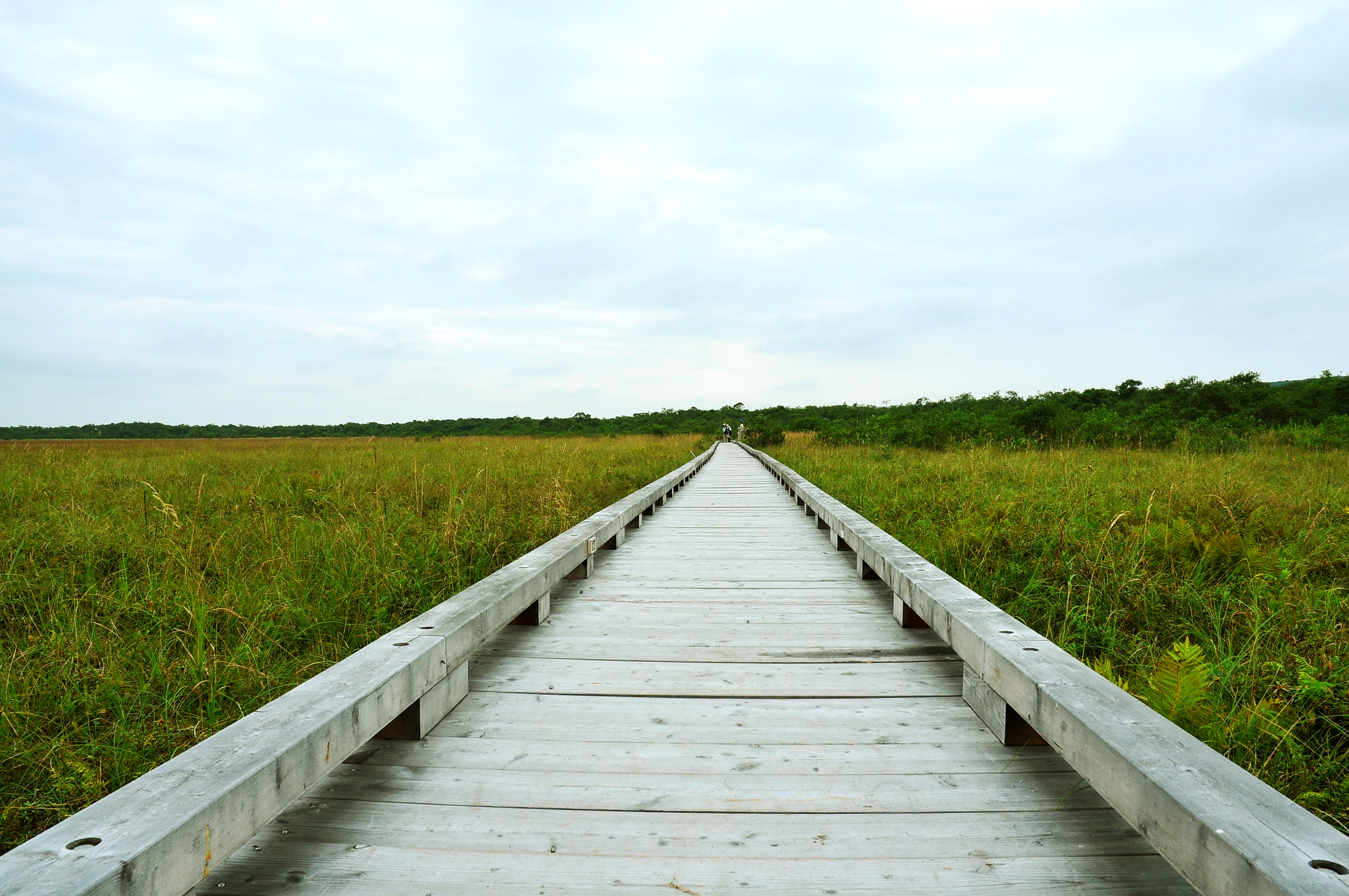 Free download high resolution image - free image free photo free stock image public domain picture -Hokkaido