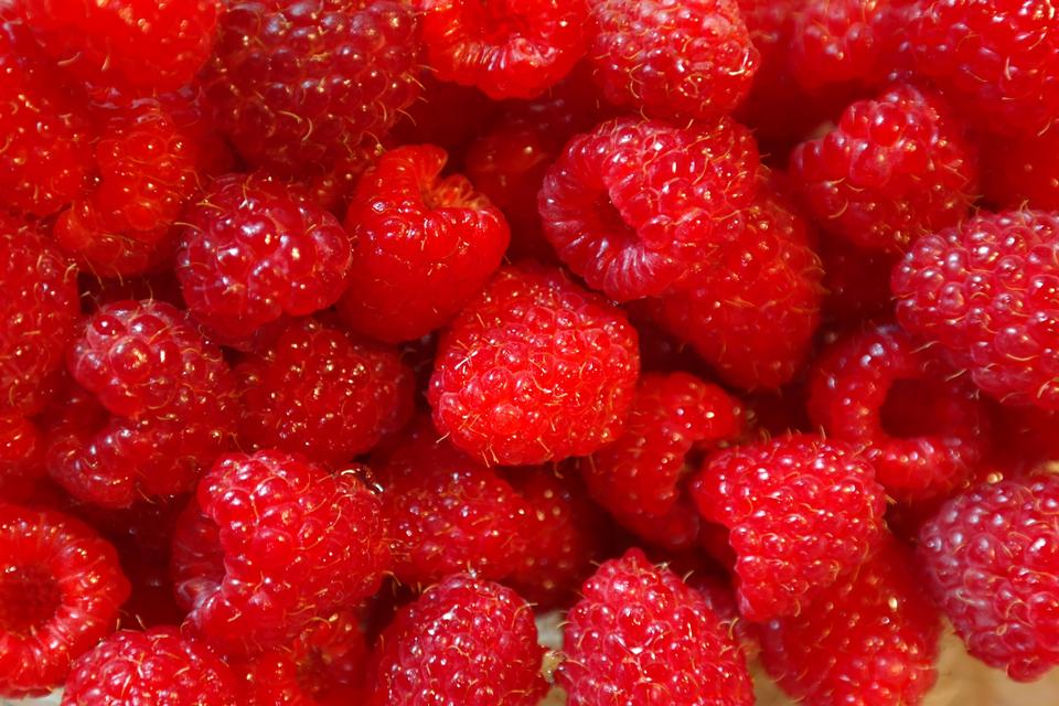 Free download high resolution image - free image free photo free stock image public domain picture  Red Strawberry