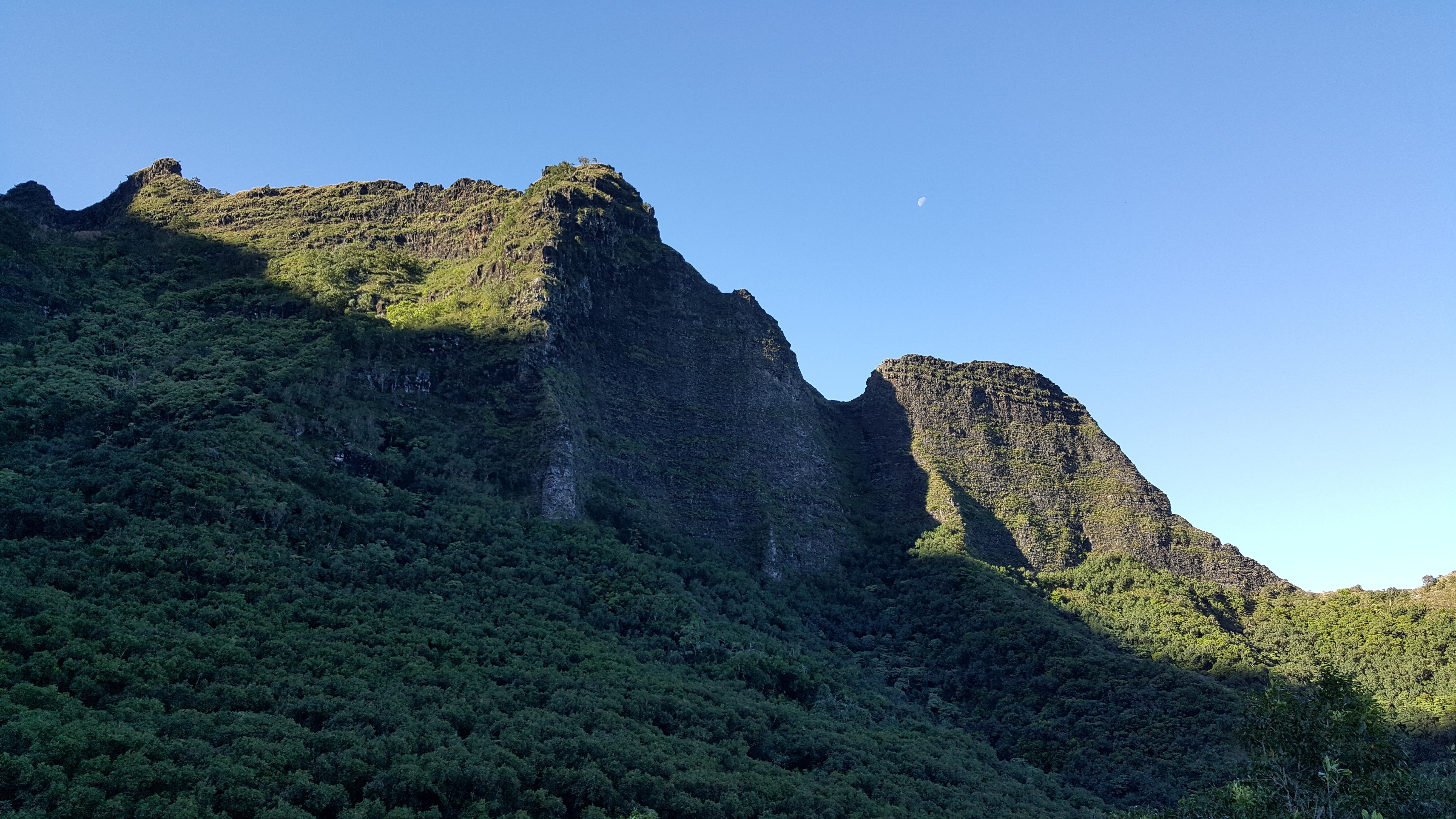 Free download high resolution image - free image free photo free stock image public domain picture -Coastline on the Kalalau trail in Kauai, state of Hawaii