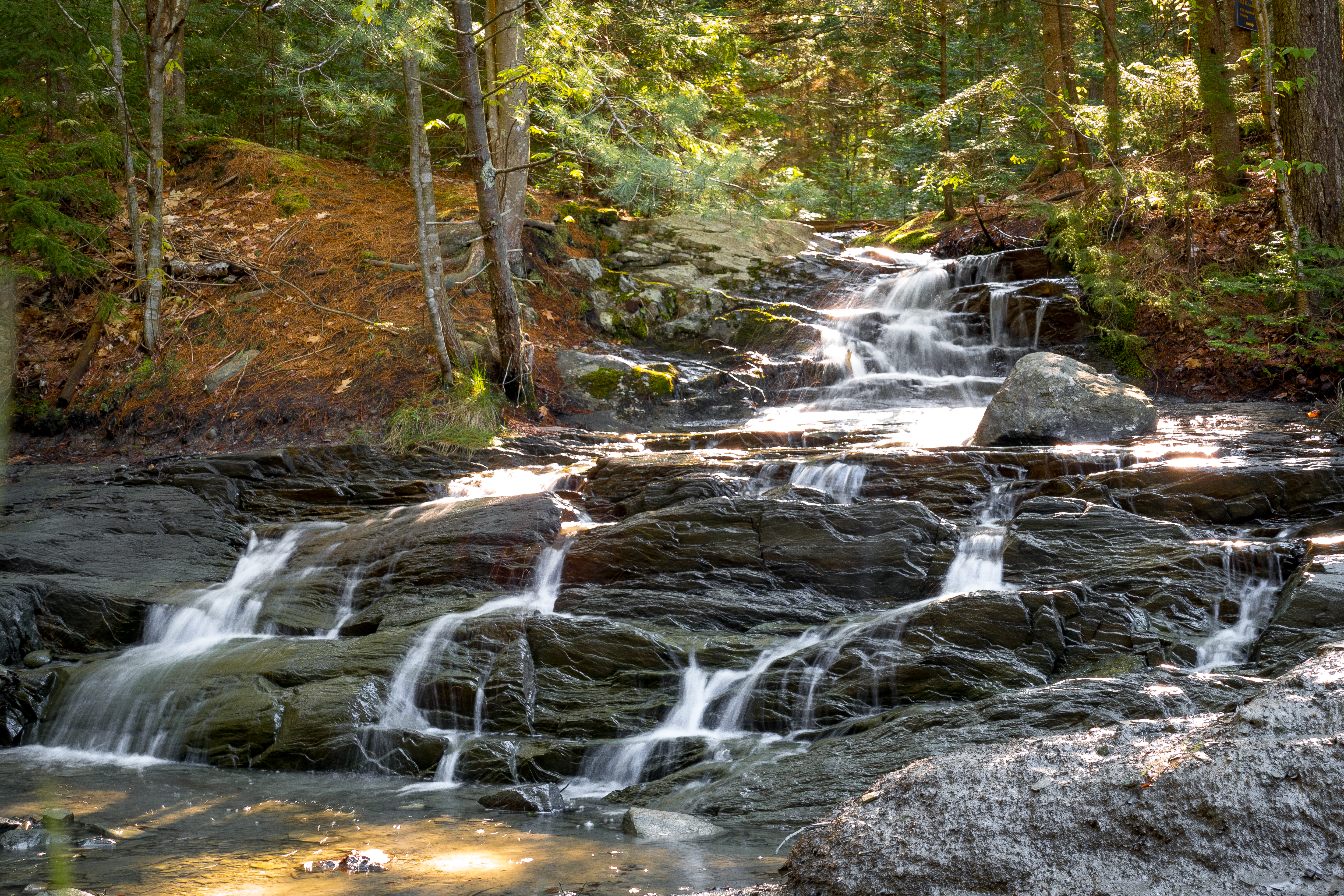 Free download high resolution image - free image free photo free stock image public domain picture -Cascading fall in spring on Harpswell Cliff Trail in Maine