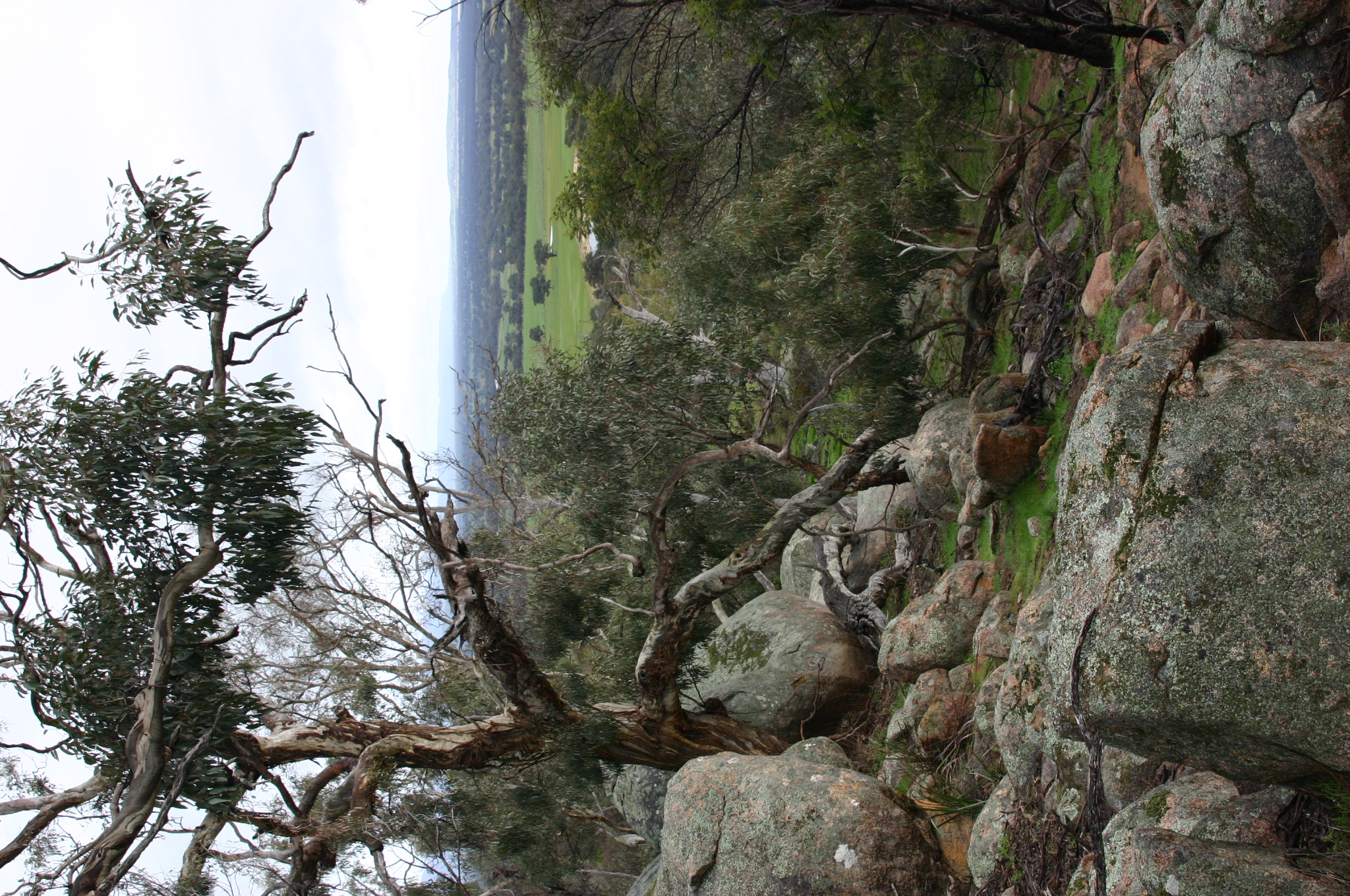 Free download high resolution image - free image free photo free stock image public domain picture -Grampians National Park