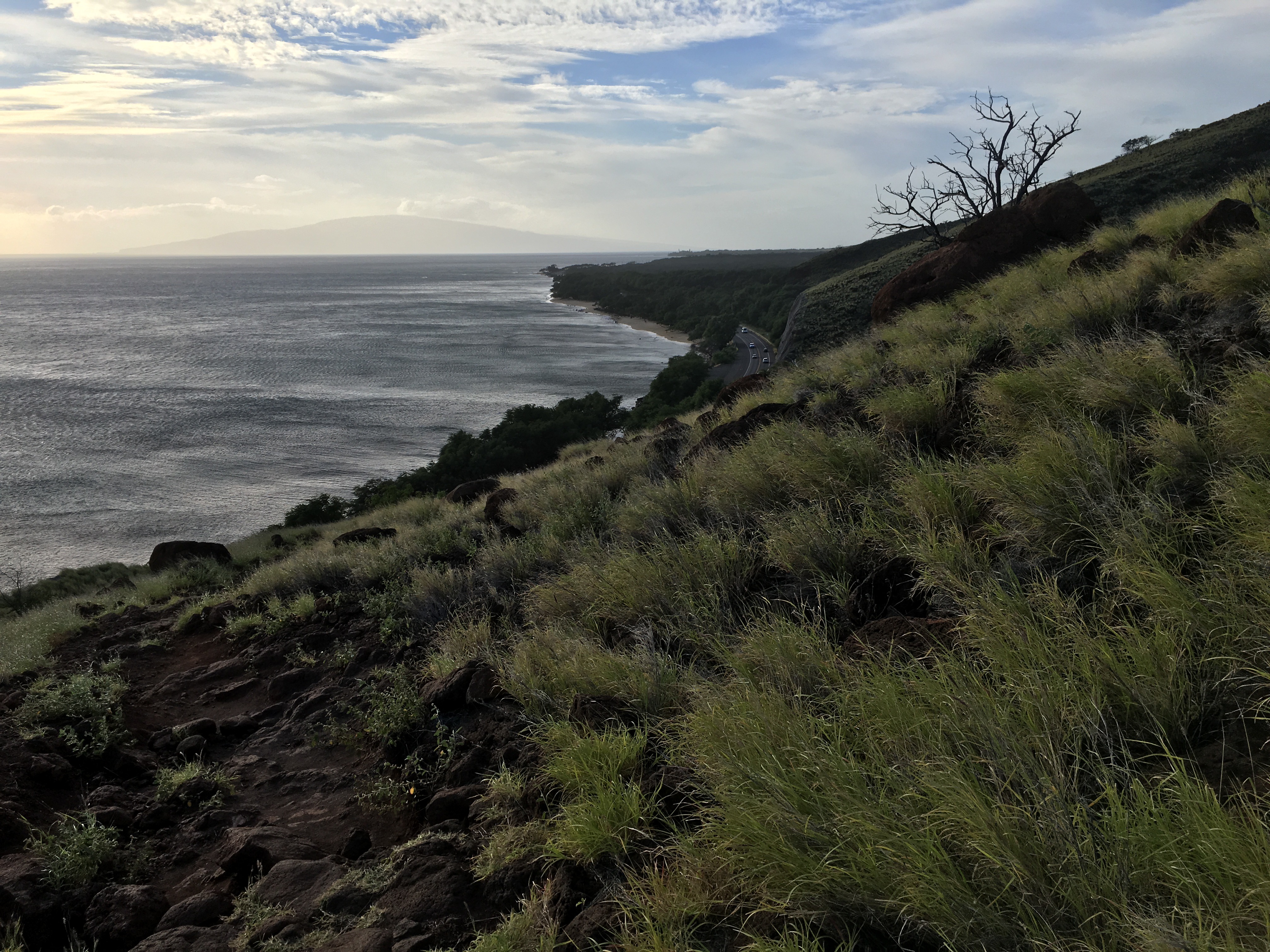 Free download high resolution image - free image free photo free stock image public domain picture -The Lahaina pali trail. Maui, Hawaii