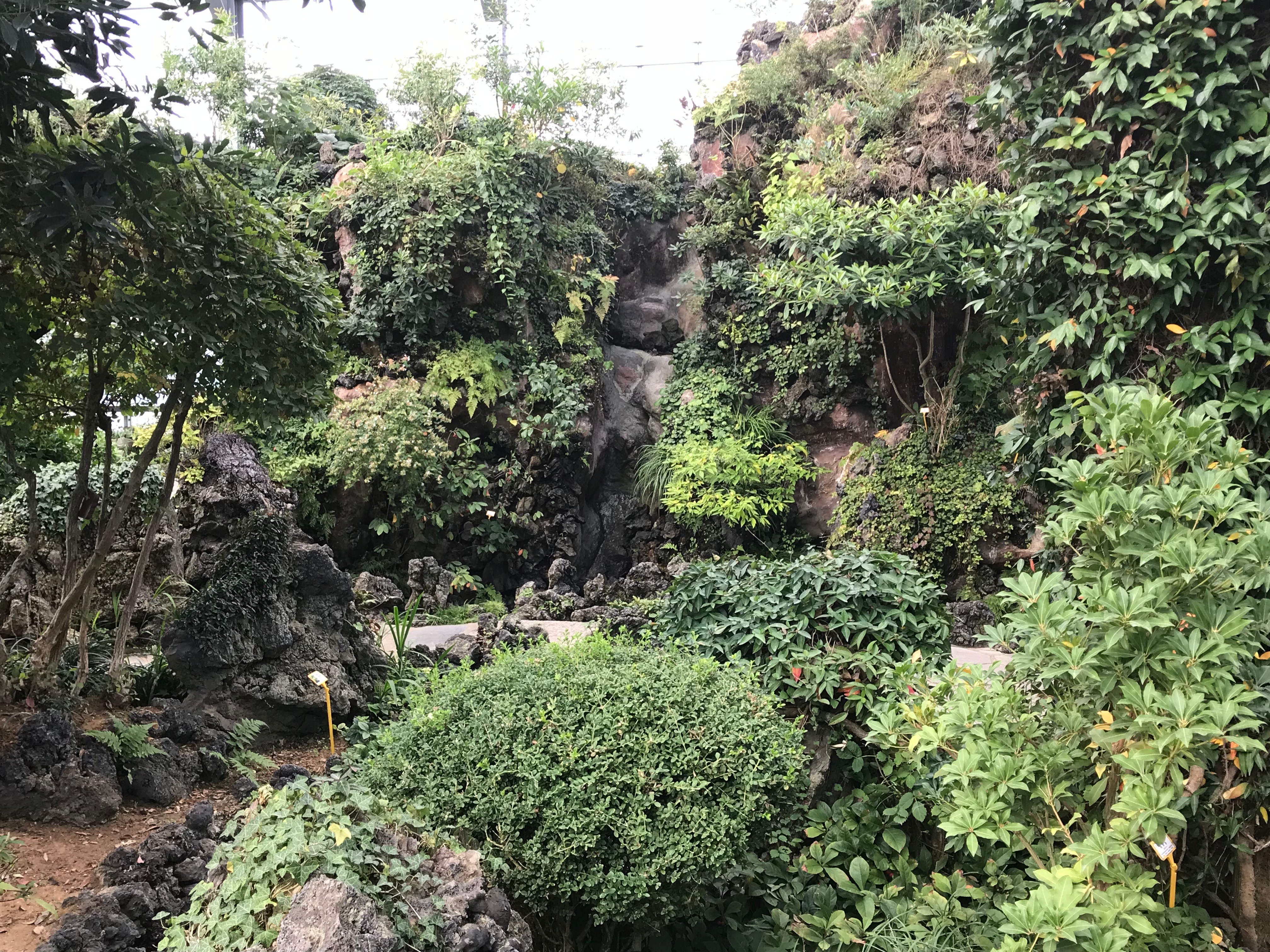 Free download high resolution image - free image free photo free stock image public domain picture -Large Glasshouse in botanical gardens