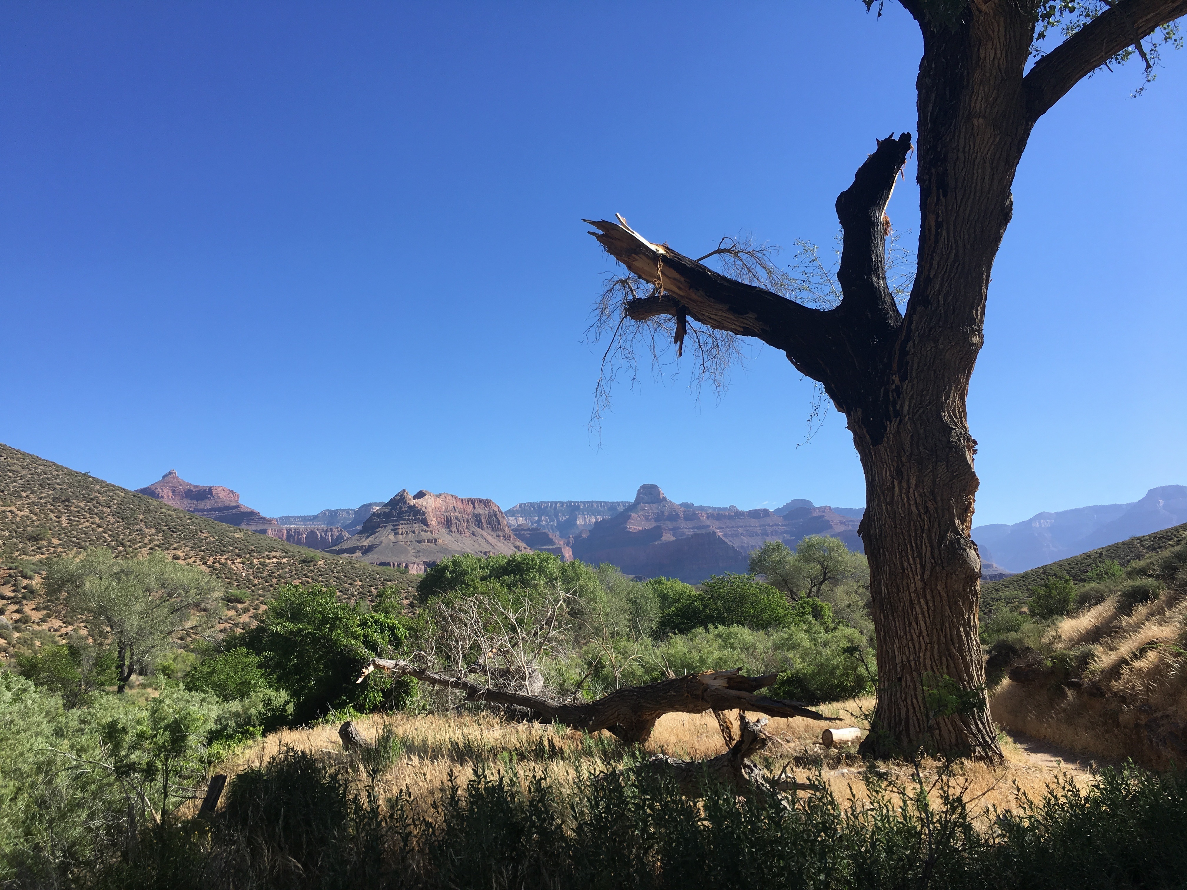 Free download high resolution image - free image free photo free stock image public domain picture -South Kaibab Trail in Grand Canyon