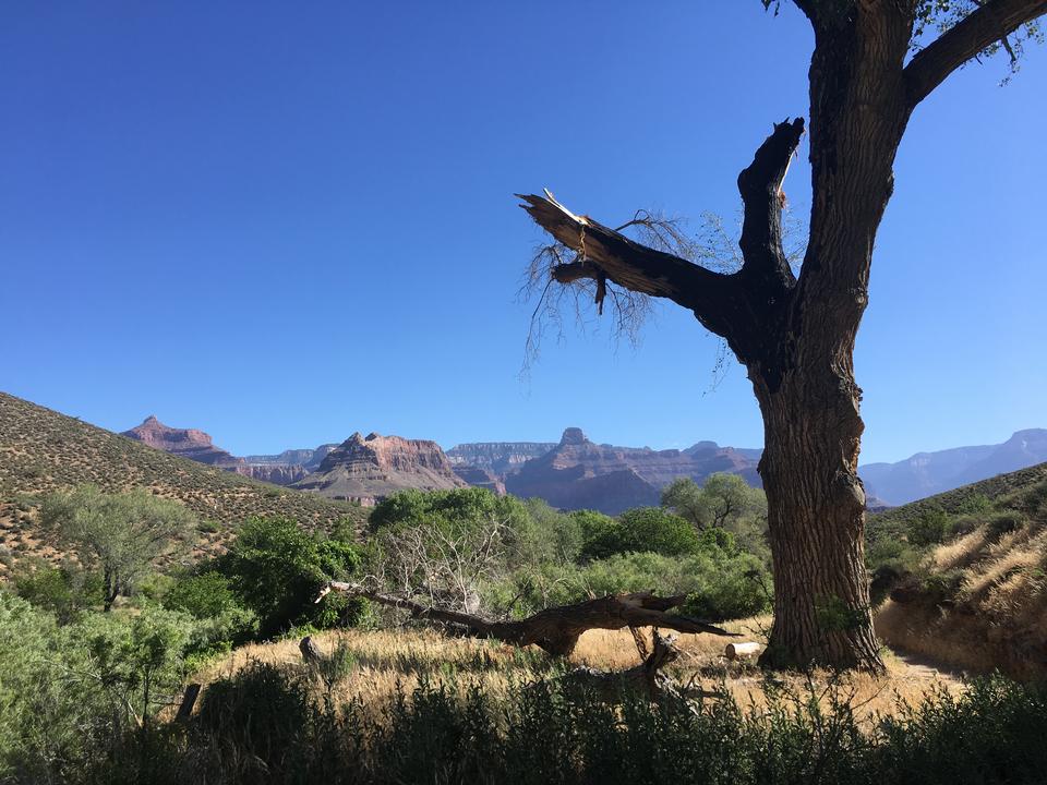 Free download high resolution image - free image free photo free stock image public domain picture  South Kaibab Trail in Grand Canyon