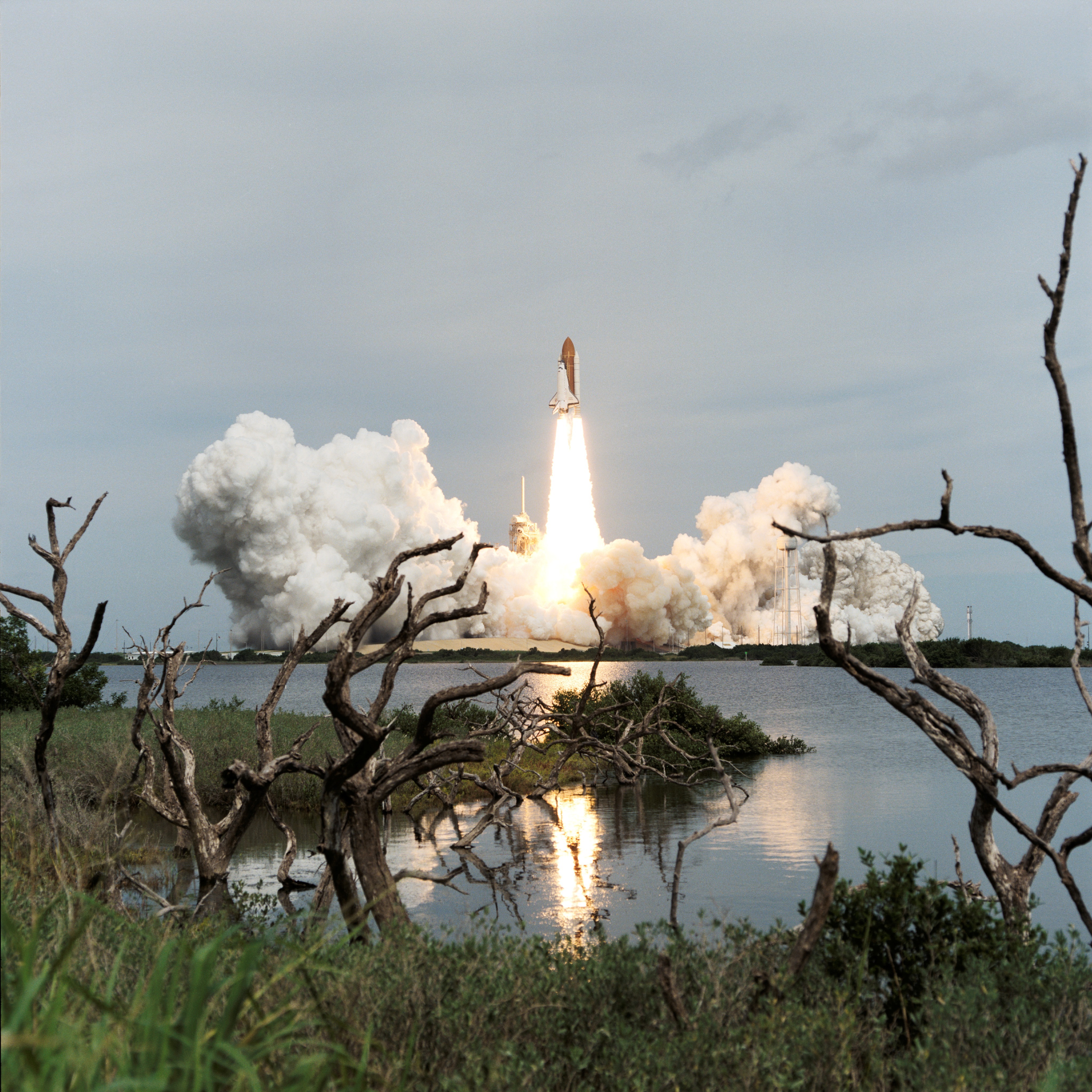 Free download high resolution image - free image free photo free stock image public domain picture -Marsh driftwood and Florida shrubbery frame the liftoff