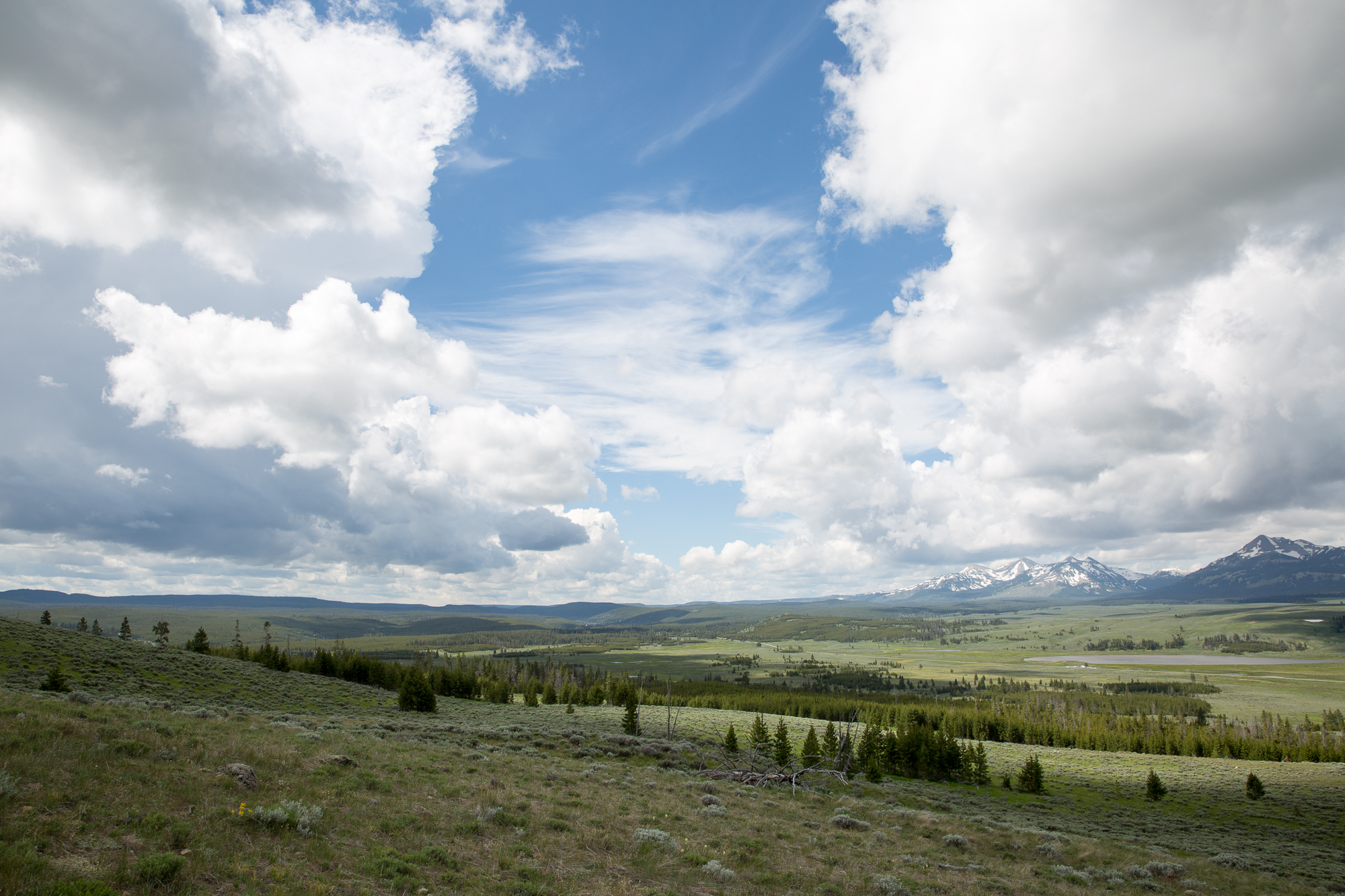 Free download high resolution image - free image free photo free stock image public domain picture -Bunsen Peak Trail. Yellowstone national park