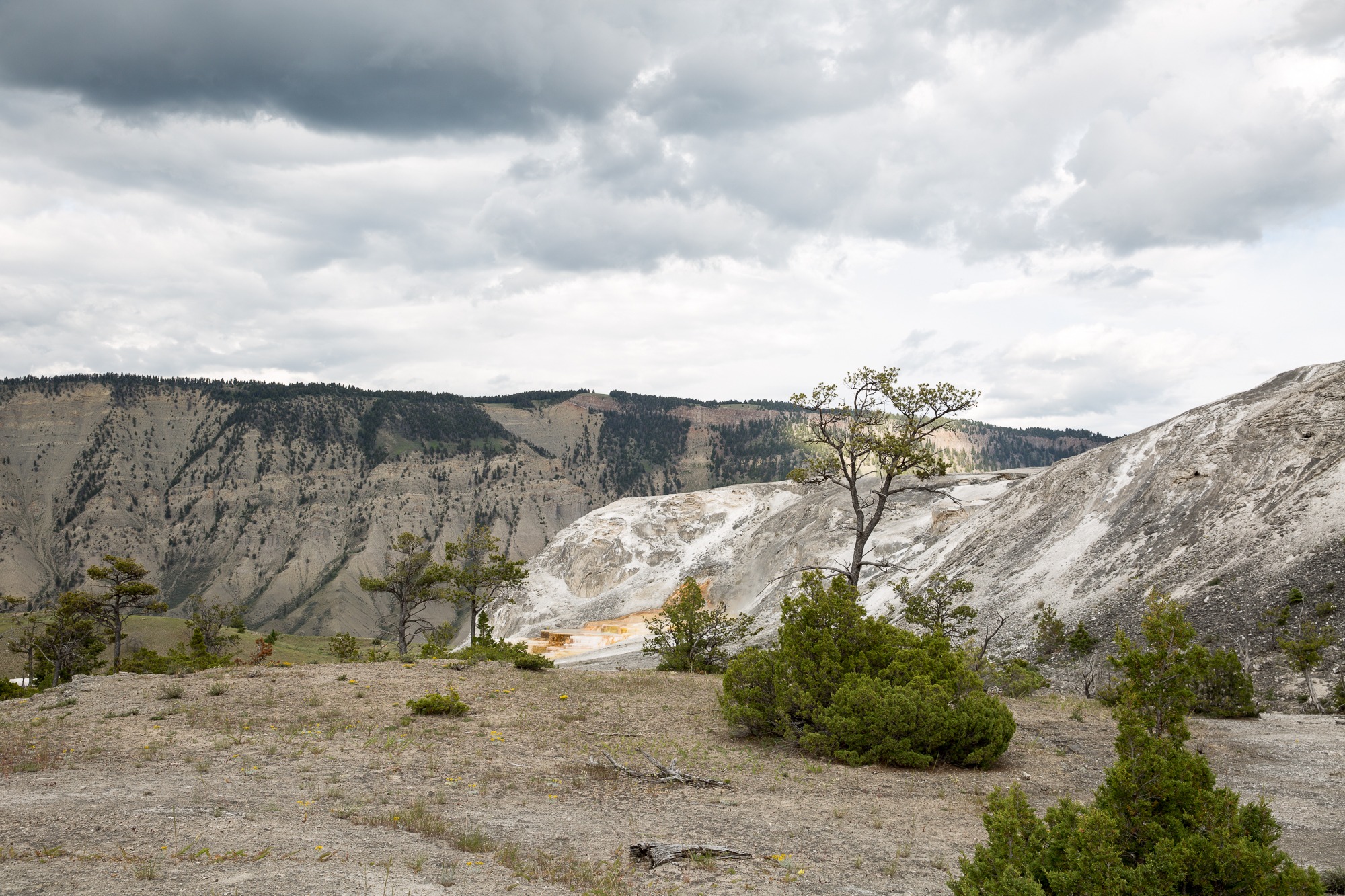 Free download high resolution image - free image free photo free stock image public domain picture -Hiking trail toward Sky Rim, Yellowstone National Park