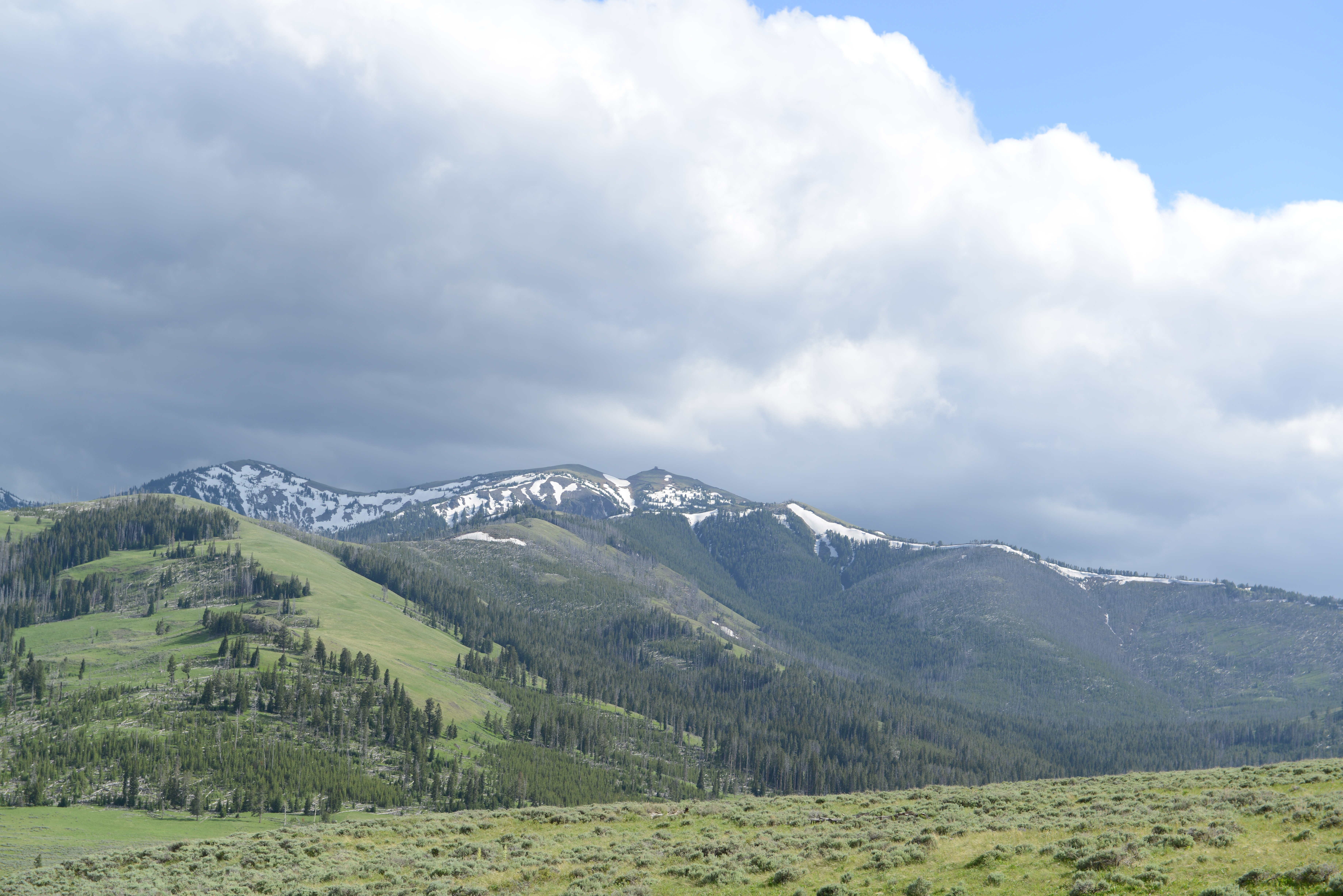 Free download high resolution image - free image free photo free stock image public domain picture -Bunsen Peak Trail. Yellowstone national park