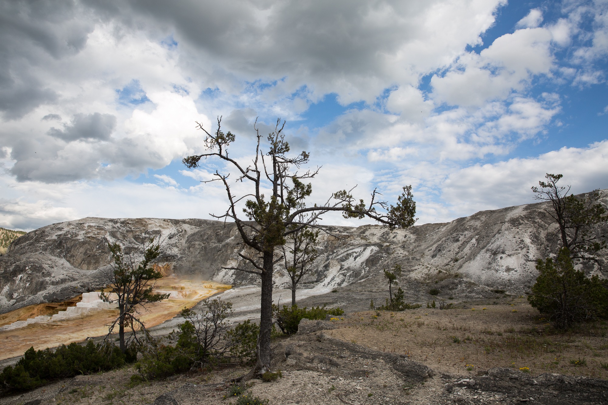 Free download high resolution image - free image free photo free stock image public domain picture -Hiking trail toward Sky Rim, Yellowstone National Park