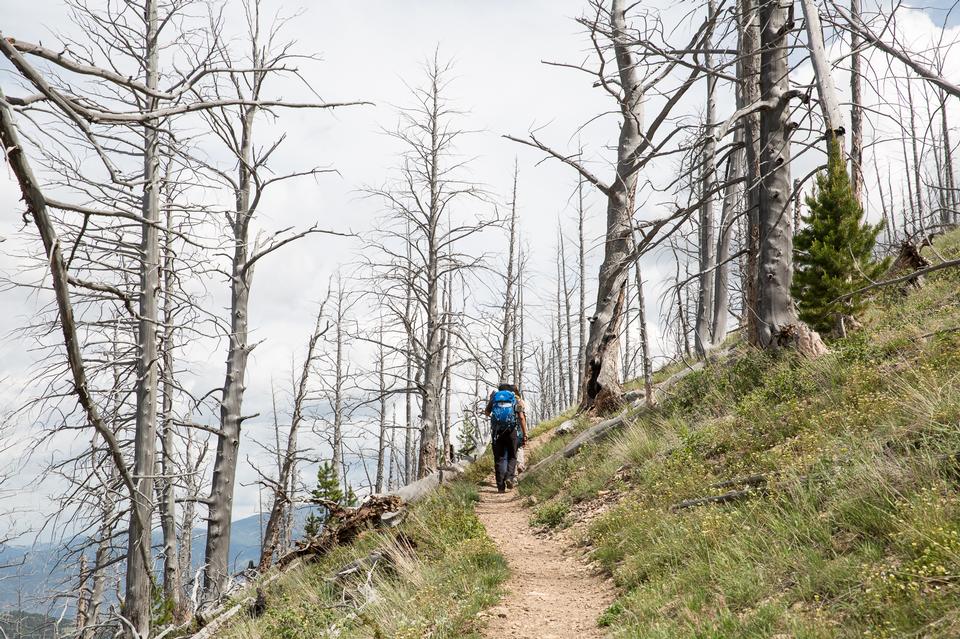 Free download high resolution image - free image free photo free stock image public domain picture  Hikers in Bunsen Peak Trail. Yellowstone national park