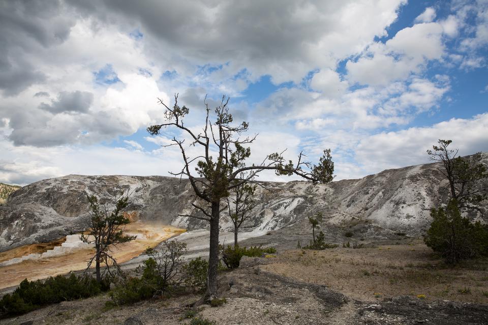 Free download high resolution image - free image free photo free stock image public domain picture  Hiking trail toward Sky Rim, Yellowstone National Park