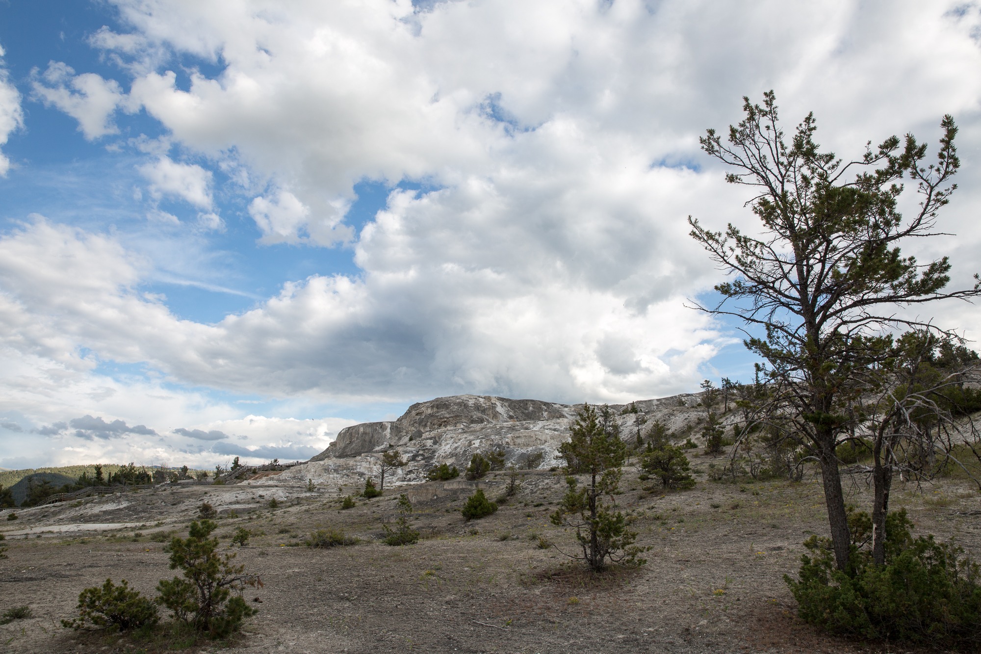 Free download high resolution image - free image free photo free stock image public domain picture -Hiking trail toward Sky Rim, Yellowstone National Park