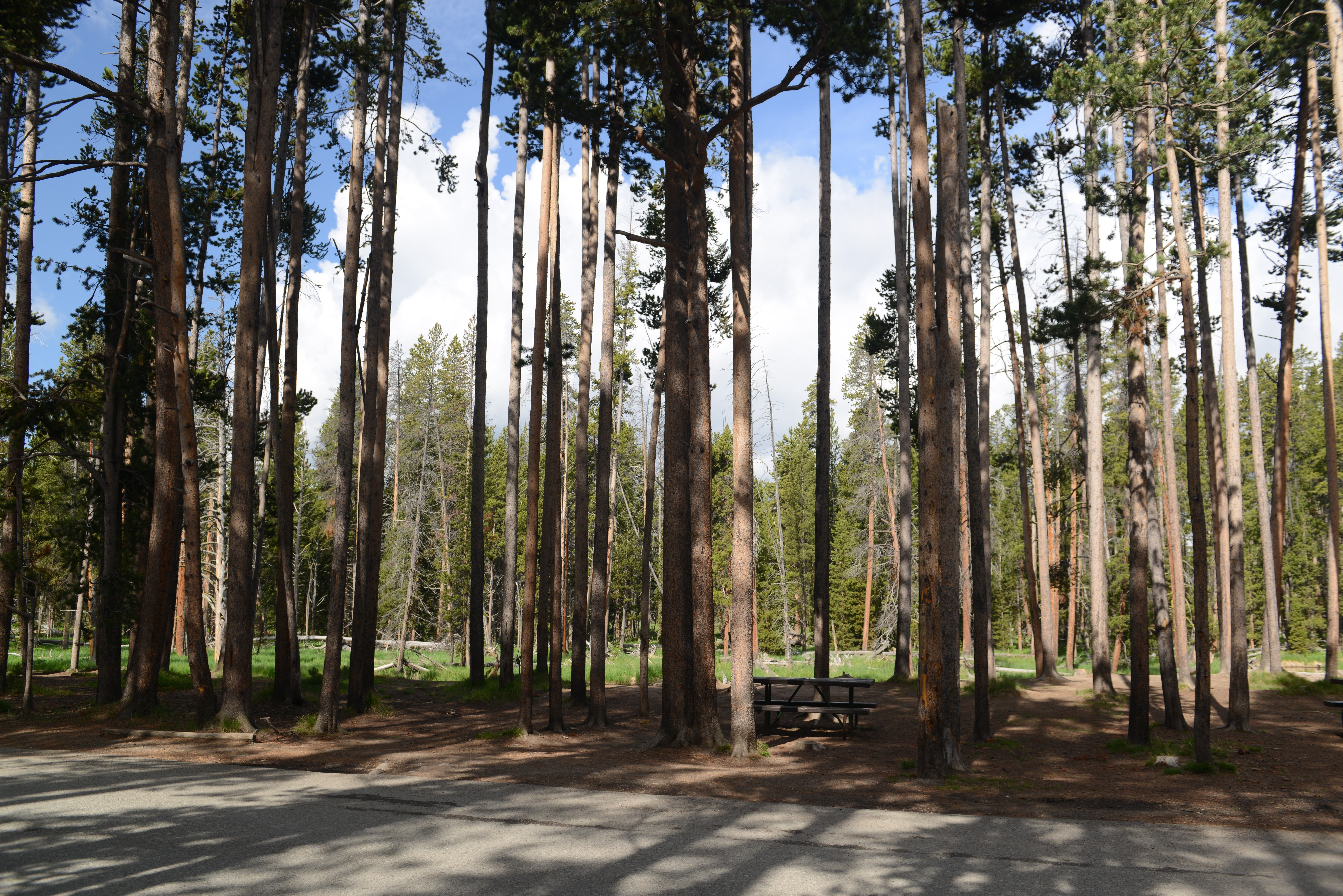 Free download high resolution image - free image free photo free stock image public domain picture -Bunsen Peak Trail. Yellowstone national park