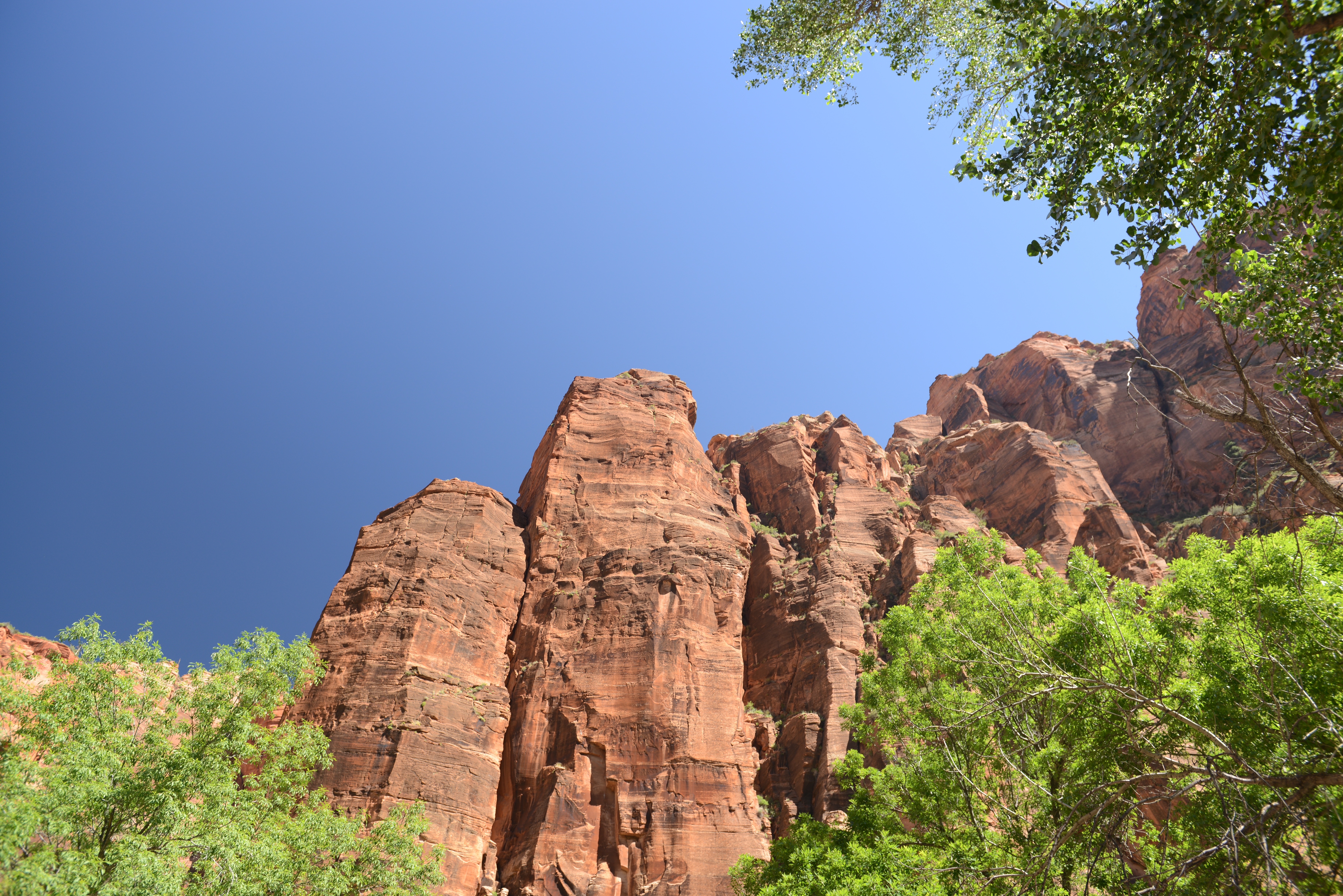 Free download high resolution image - free image free photo free stock image public domain picture -Glowing Sandstone wall, The Narrows, Zion National Park, Utah